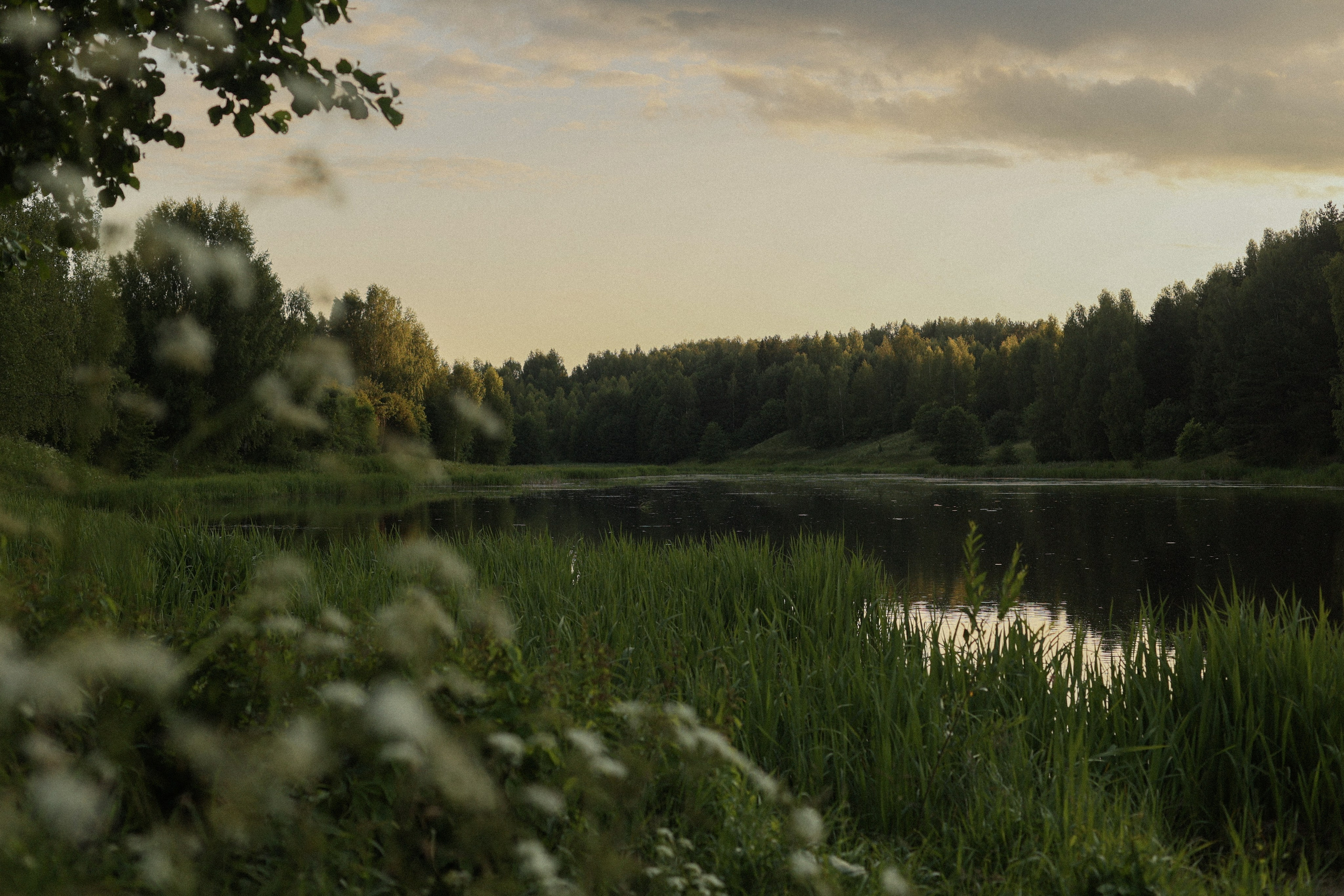 Творческий проект — Итальянская свадьба. Фотограф — Ольга Косолюкина