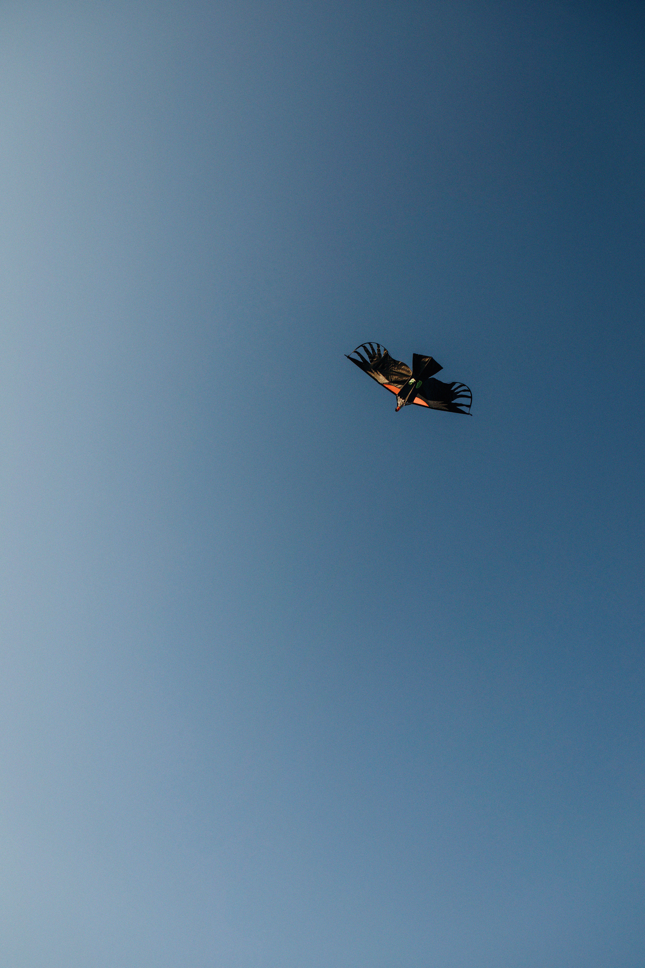 Запускали птичку. Свадебный и семейный фотограф Арестенко Анастасия