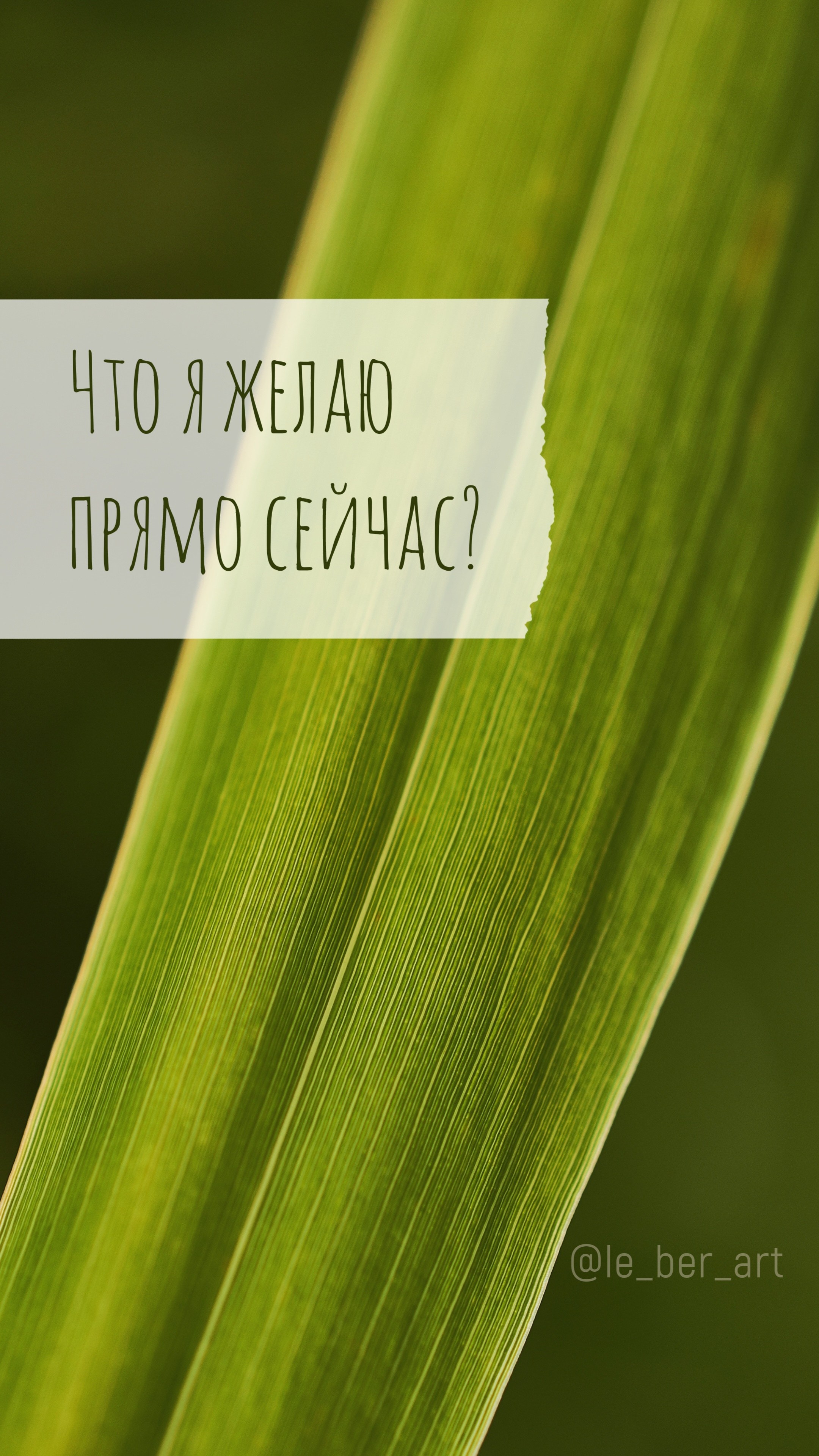 Заставки на телефон. Елена Берсенева, фотограф