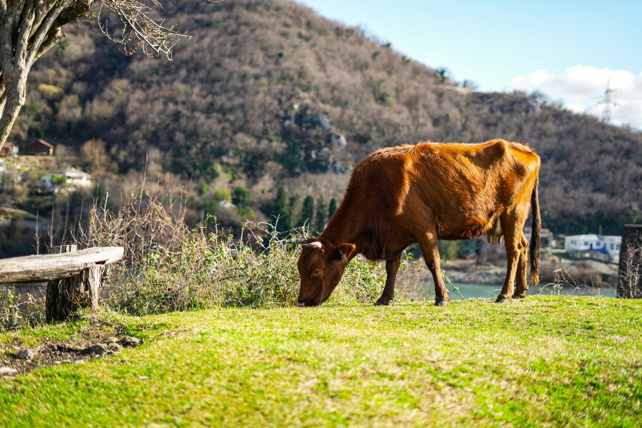 Абхазия открытки. Главная