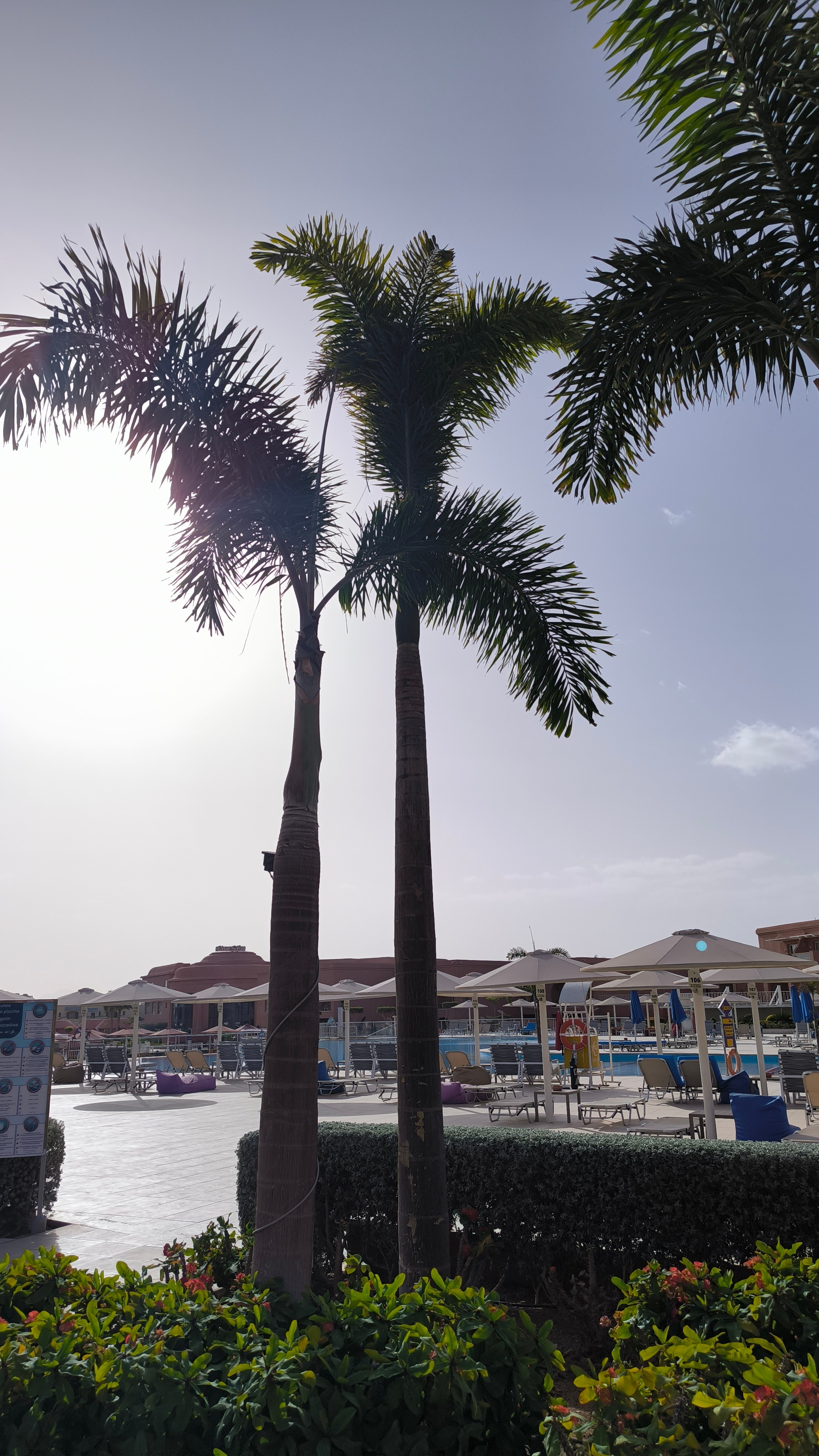 Шарм-Эль-Шейх. Светлана Иванова - профессиональный фотограф