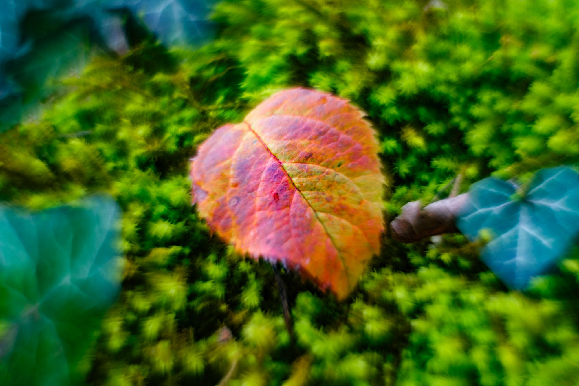 фотограф в Геленджике, фотограф Геленджик
