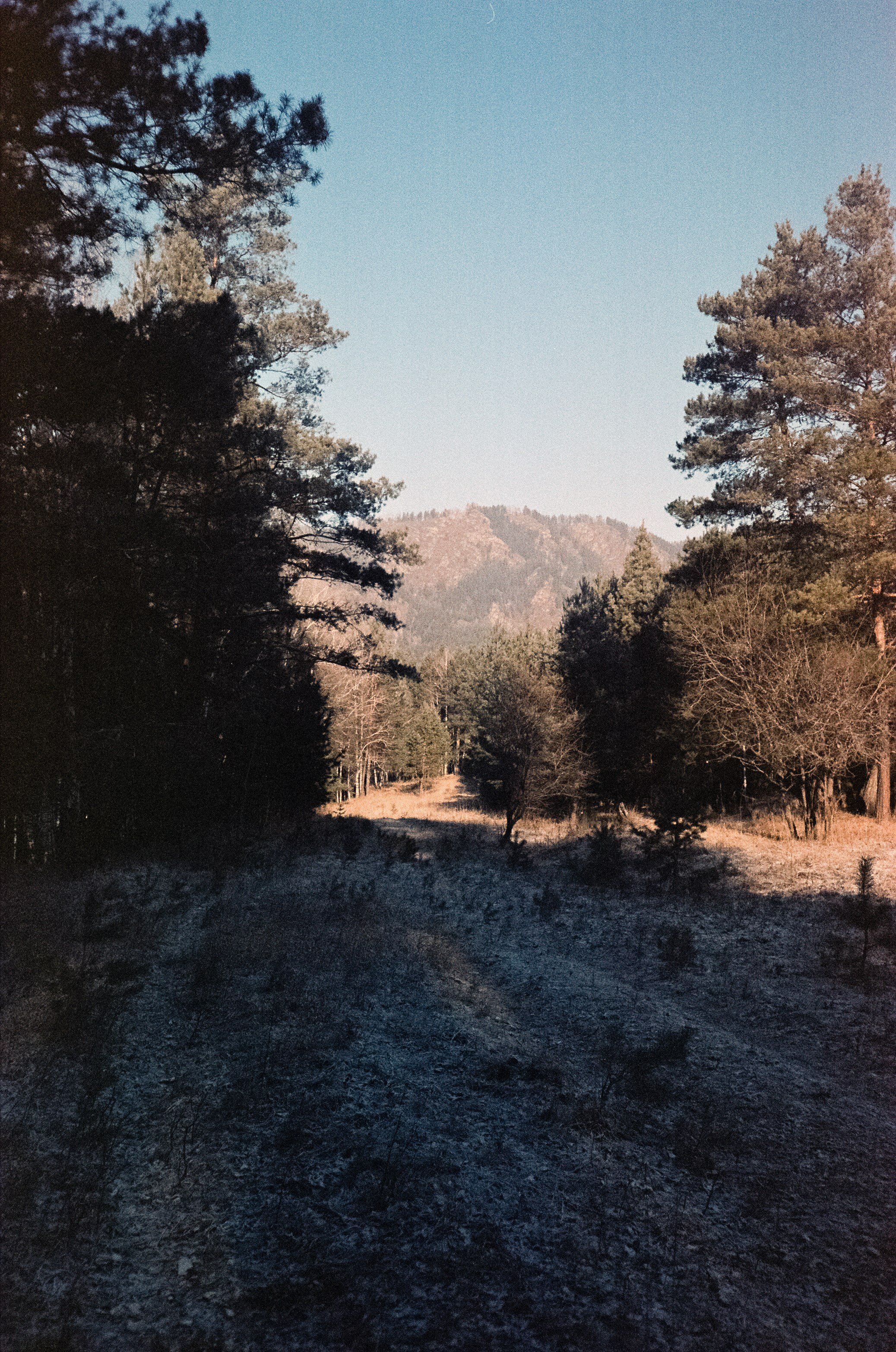 12 декабря: Кедровый остров, Семинская поляна, 13 декабря: поле у верт
