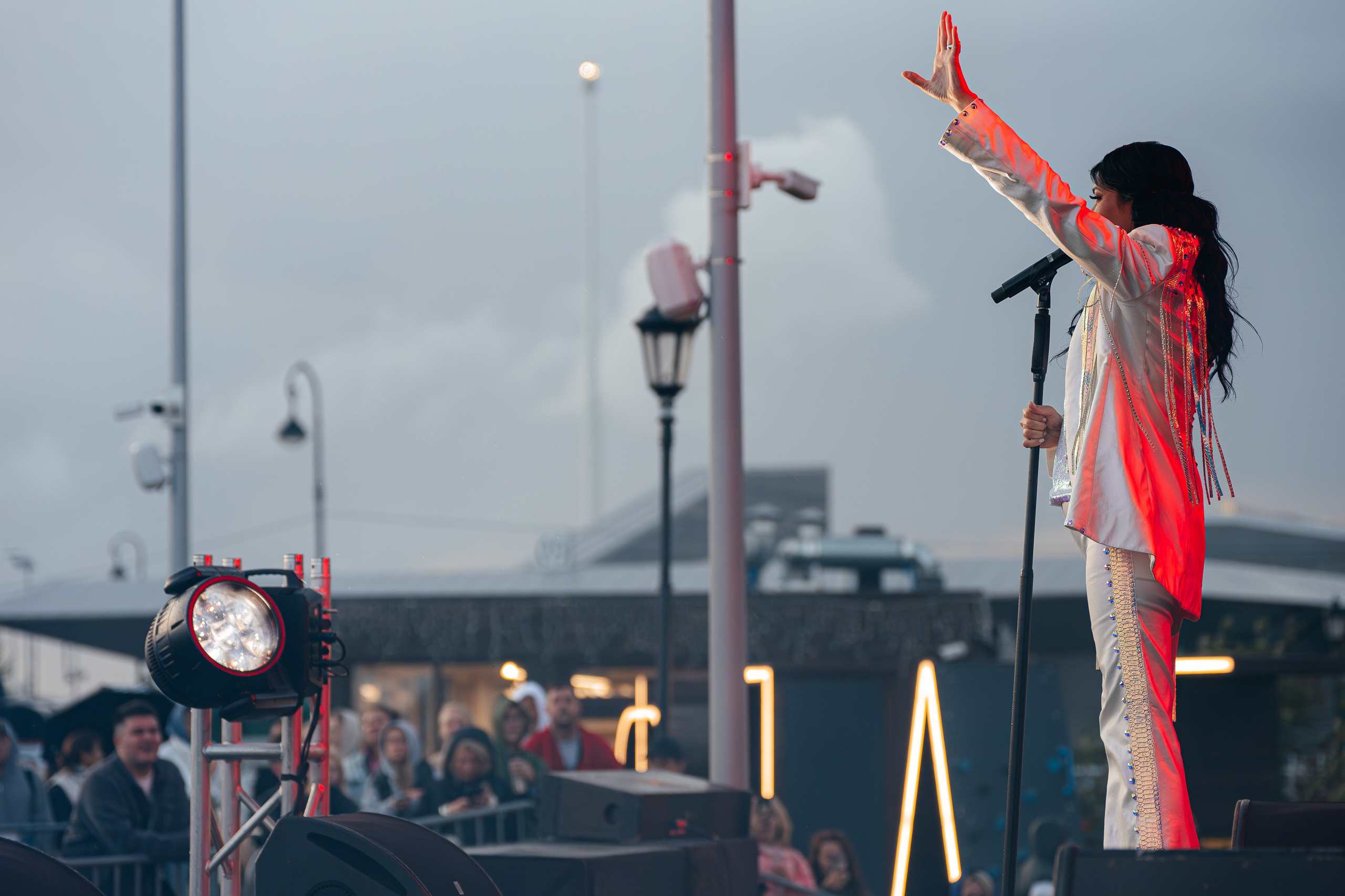 Концерт Светы. Коммерческий фотограф в Санкт-Петербурге Анна Кобзарь