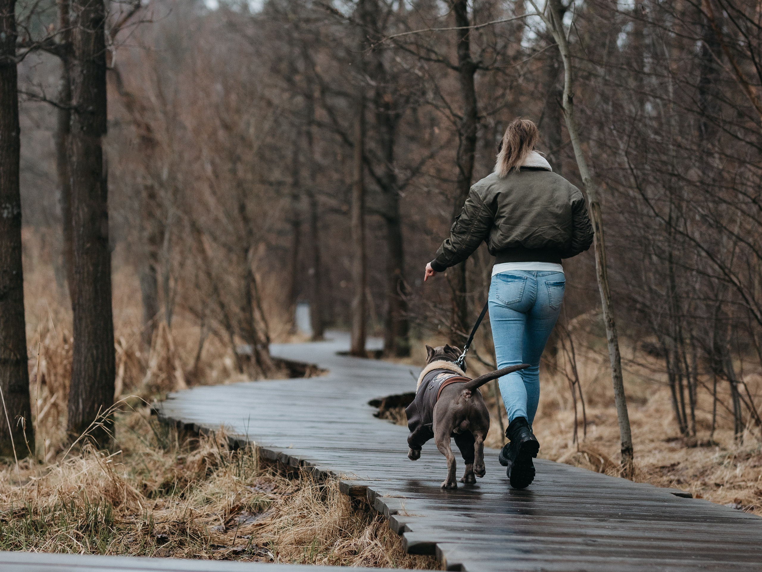 Зевс и Мария. Фотограф-анималист в Москве Кириллова Татьяна