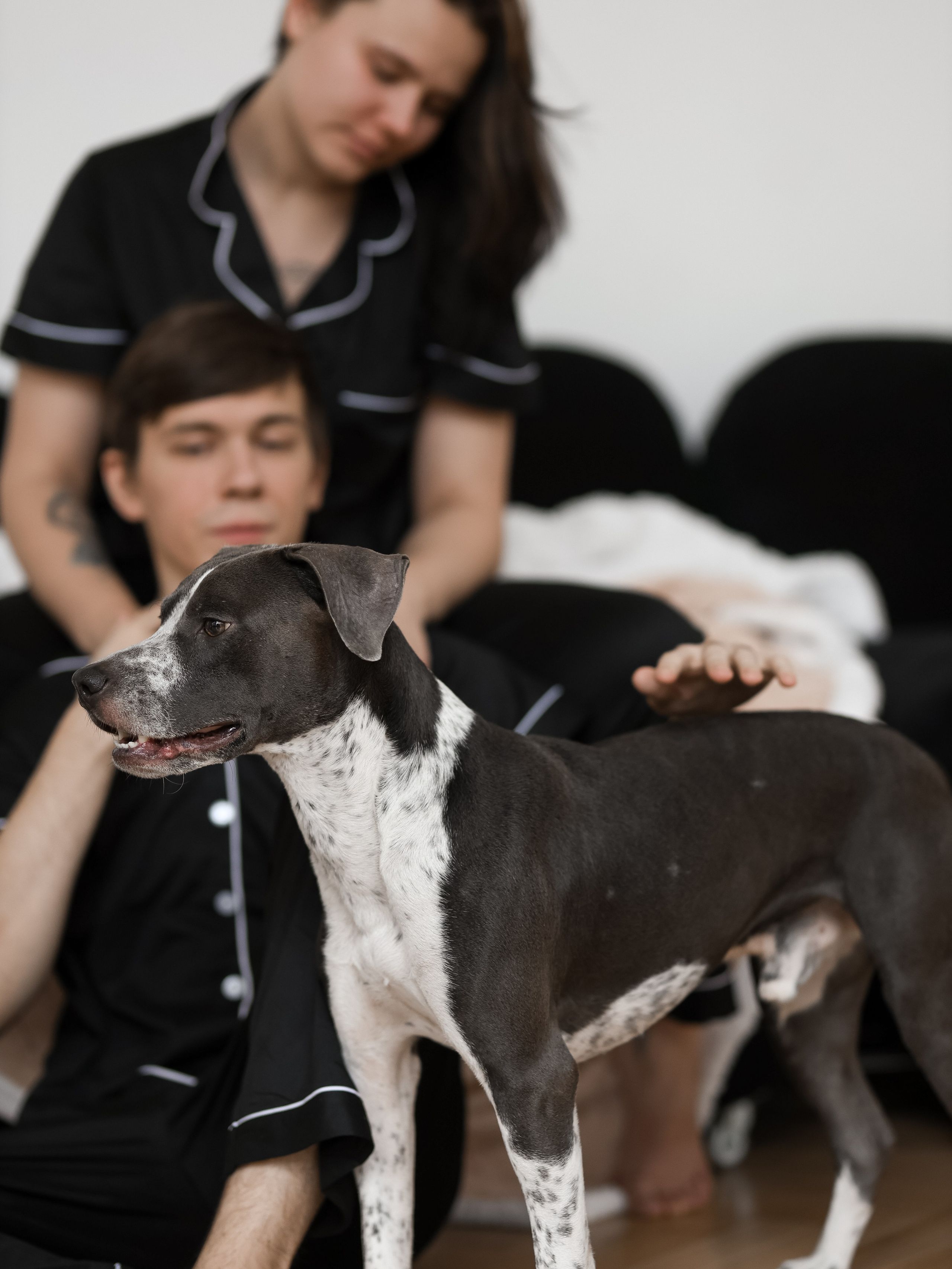 Тортик Даша и Никита. Фотограф-анималист в Москве Кириллова Татьяна