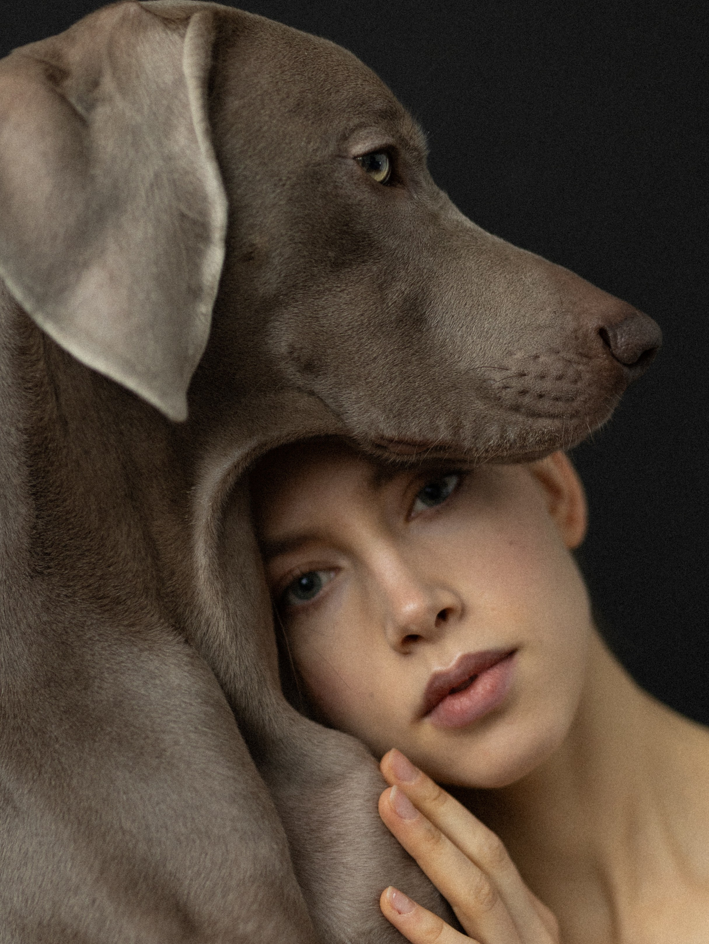 Сенча и Даша. Фотограф-анималист в Москве Кириллова Татьяна