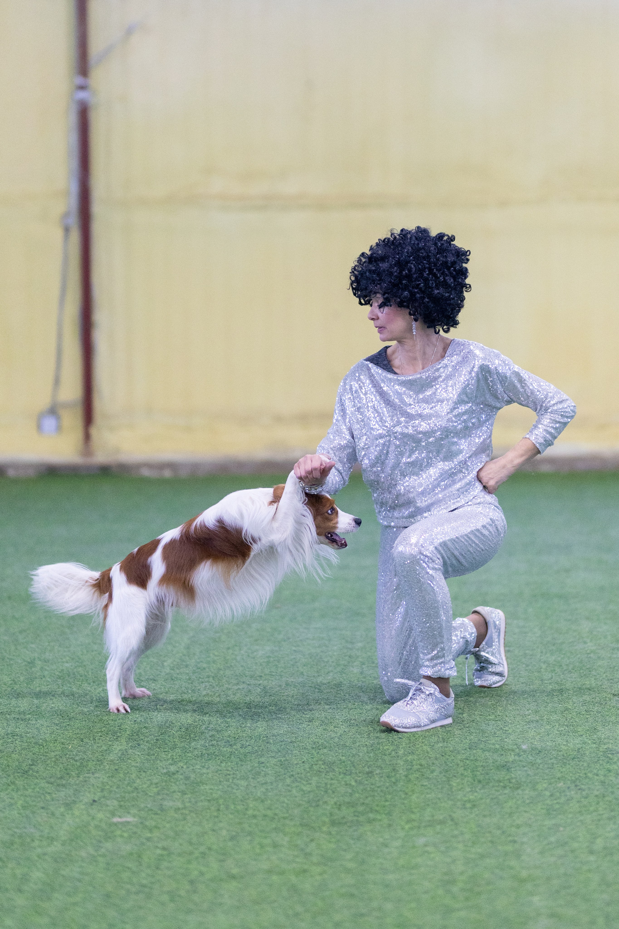 Соревнования танцы. Фотограф-анималист в Москве Кириллова Татьяна