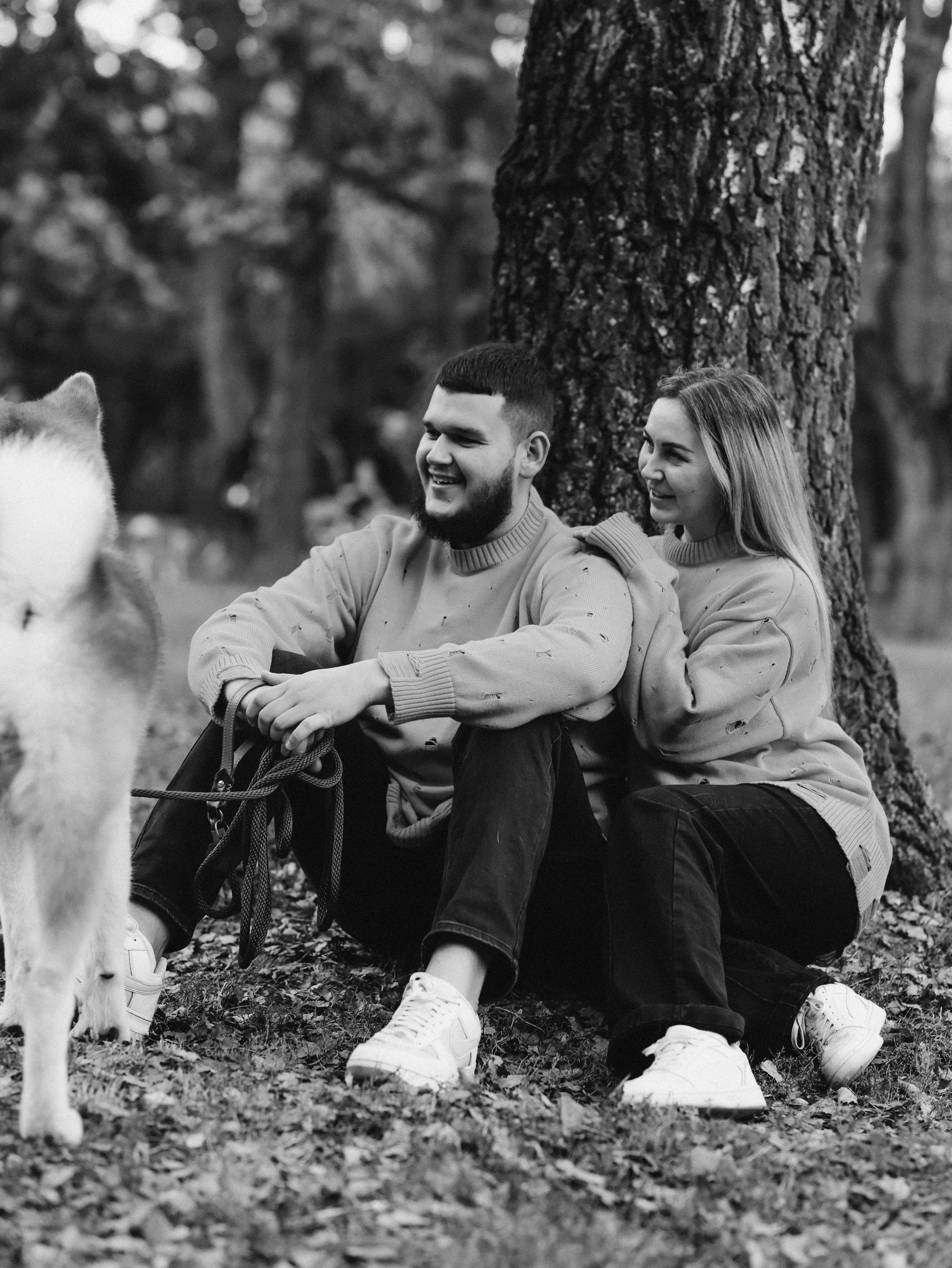 Гранд, Вика и Степан. Фотограф-анималист в Москве Кириллова Татьяна