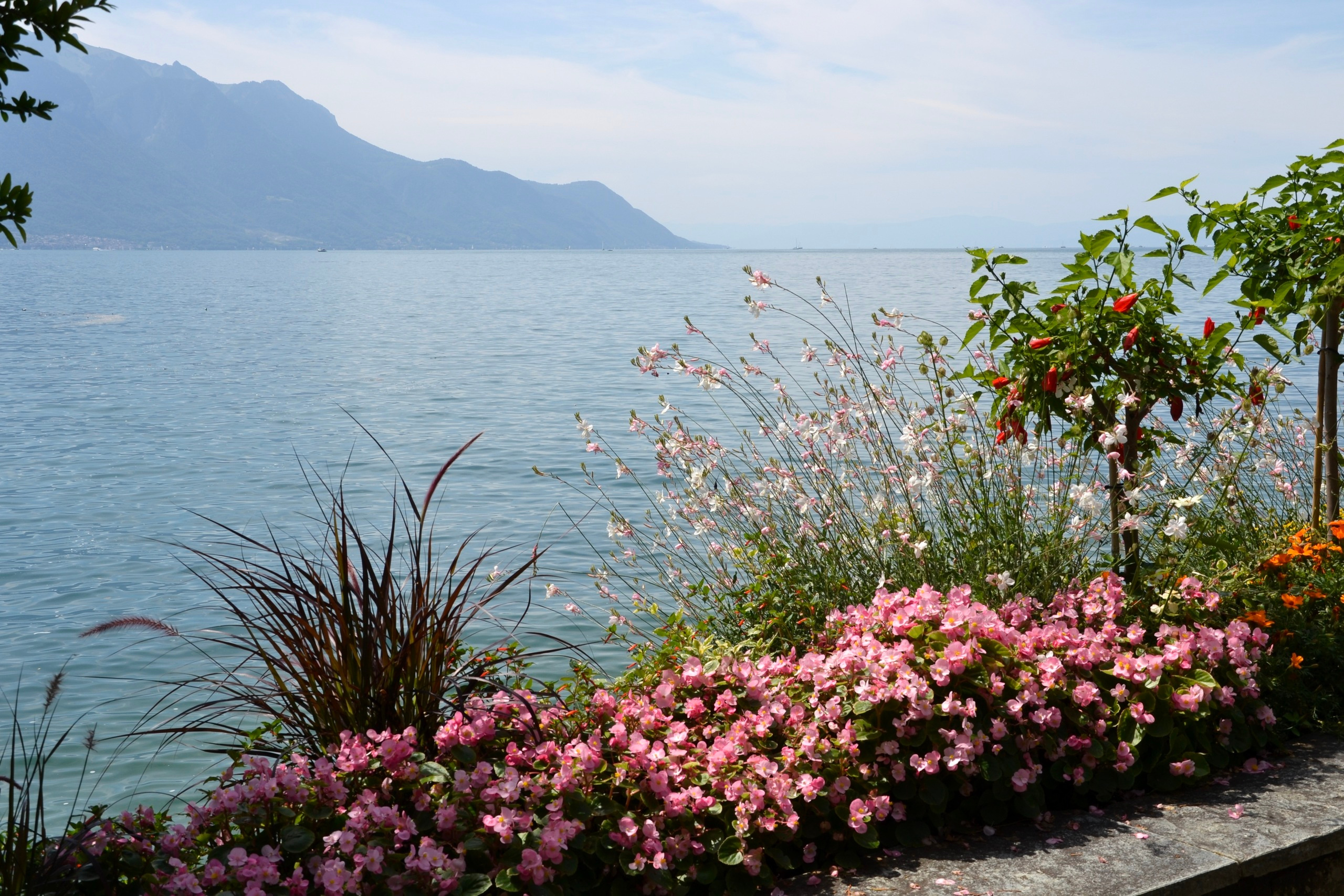 Switzerland. Mariya Biryukova