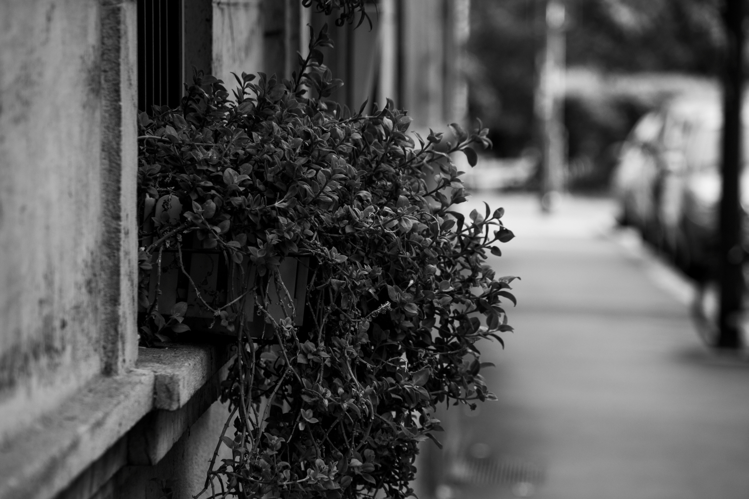 Italy. Mariya Biryukova