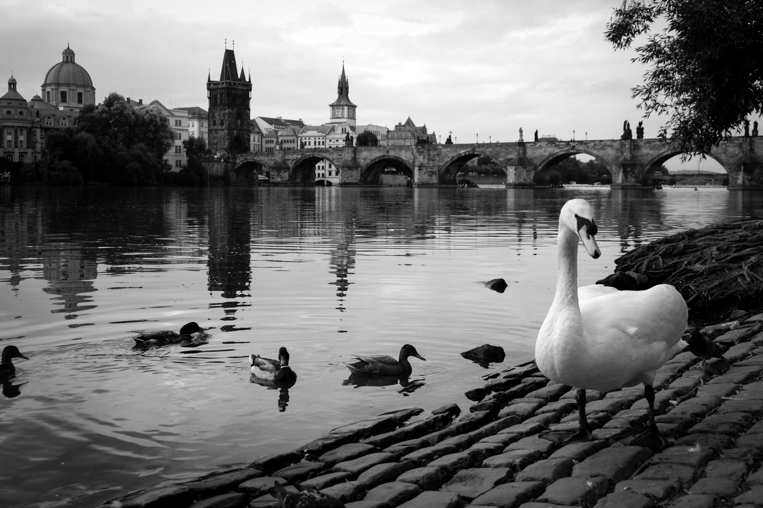 Czech Republic. Mariya Biryukova
