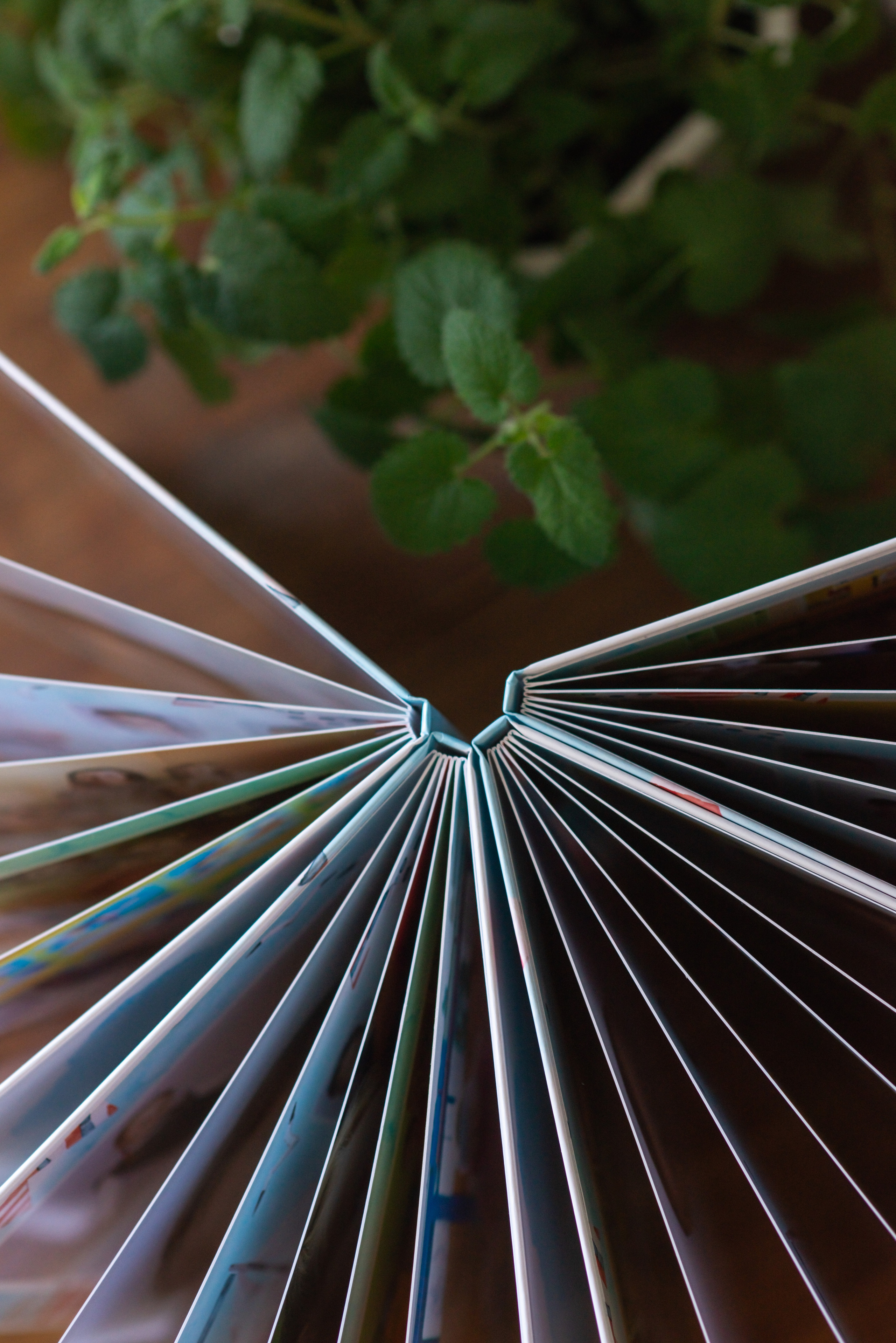 Выпускной альбом для детского сада, размер 20 на 30 см, 6 страниц. Семейный фотограф в Ярославле Екатерина Затеева