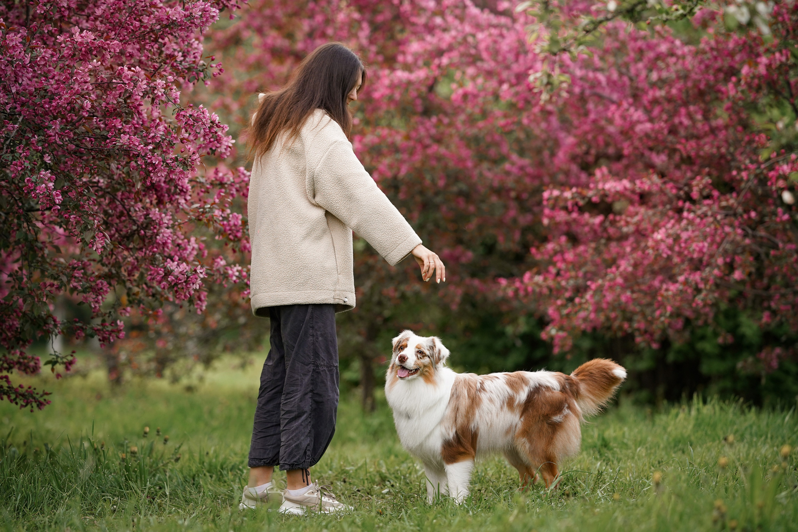 Панда в Яблоневом саду. Фотограф-анималист в Санкт-Петербурге Яна Мартынова