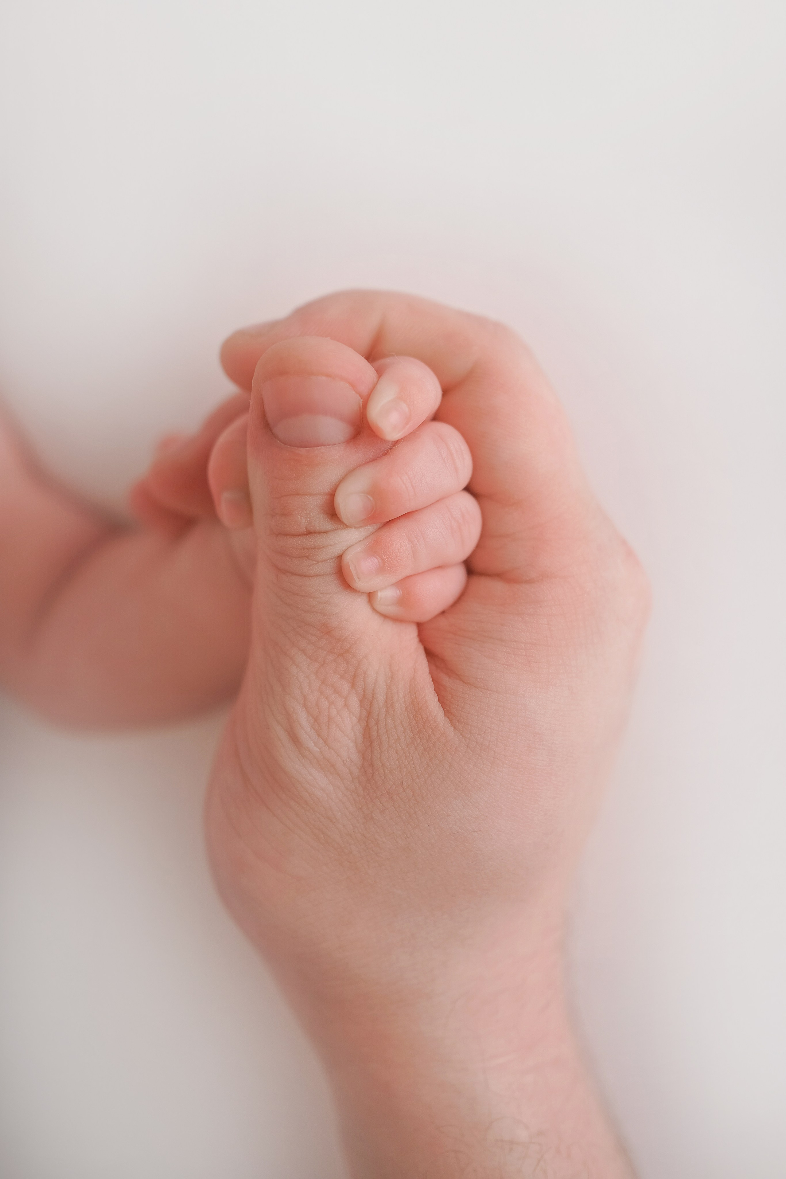 Малыши. Фотограф новорожденных, детский и семейный фотограф Алла Шостак