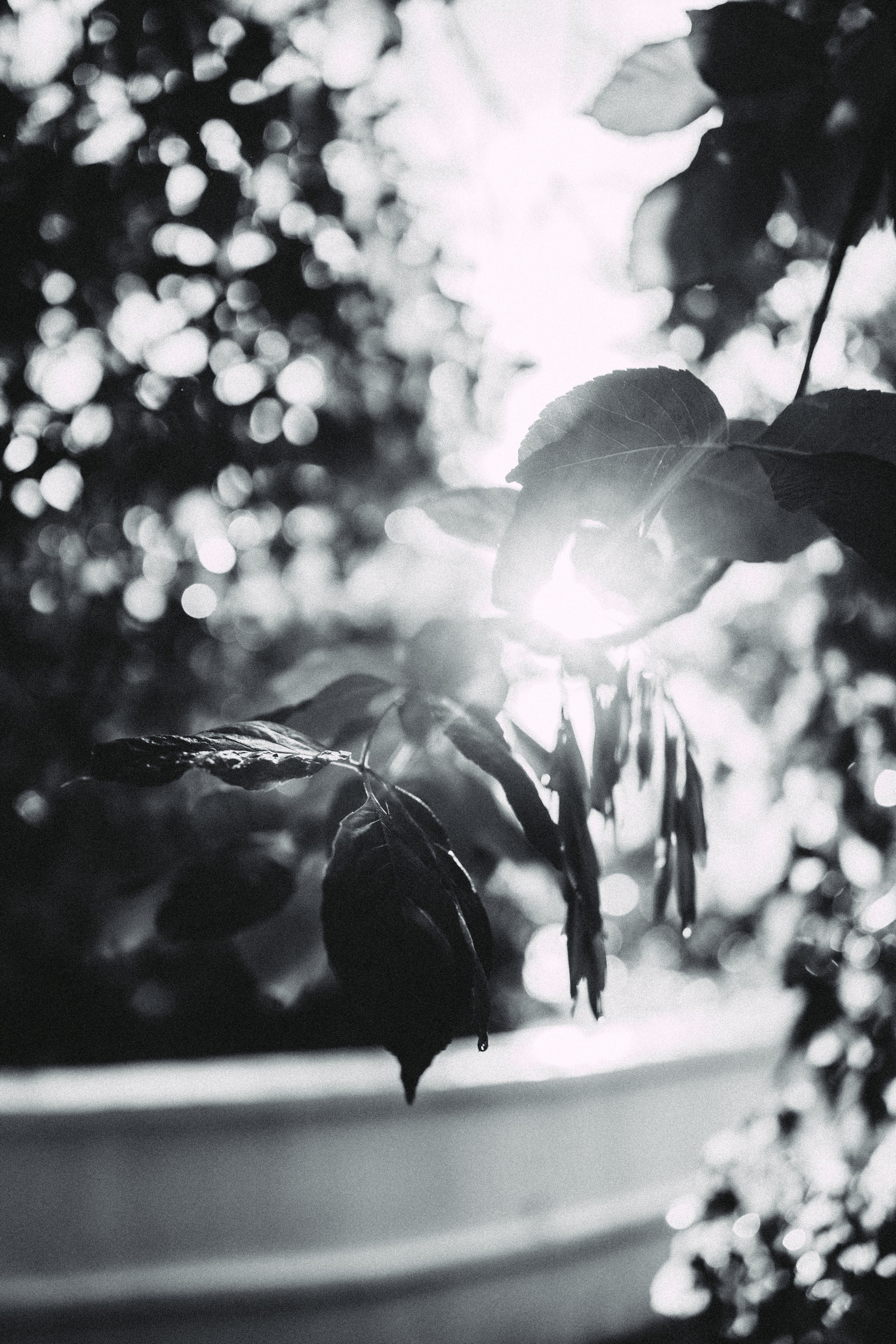 Аня. Главная