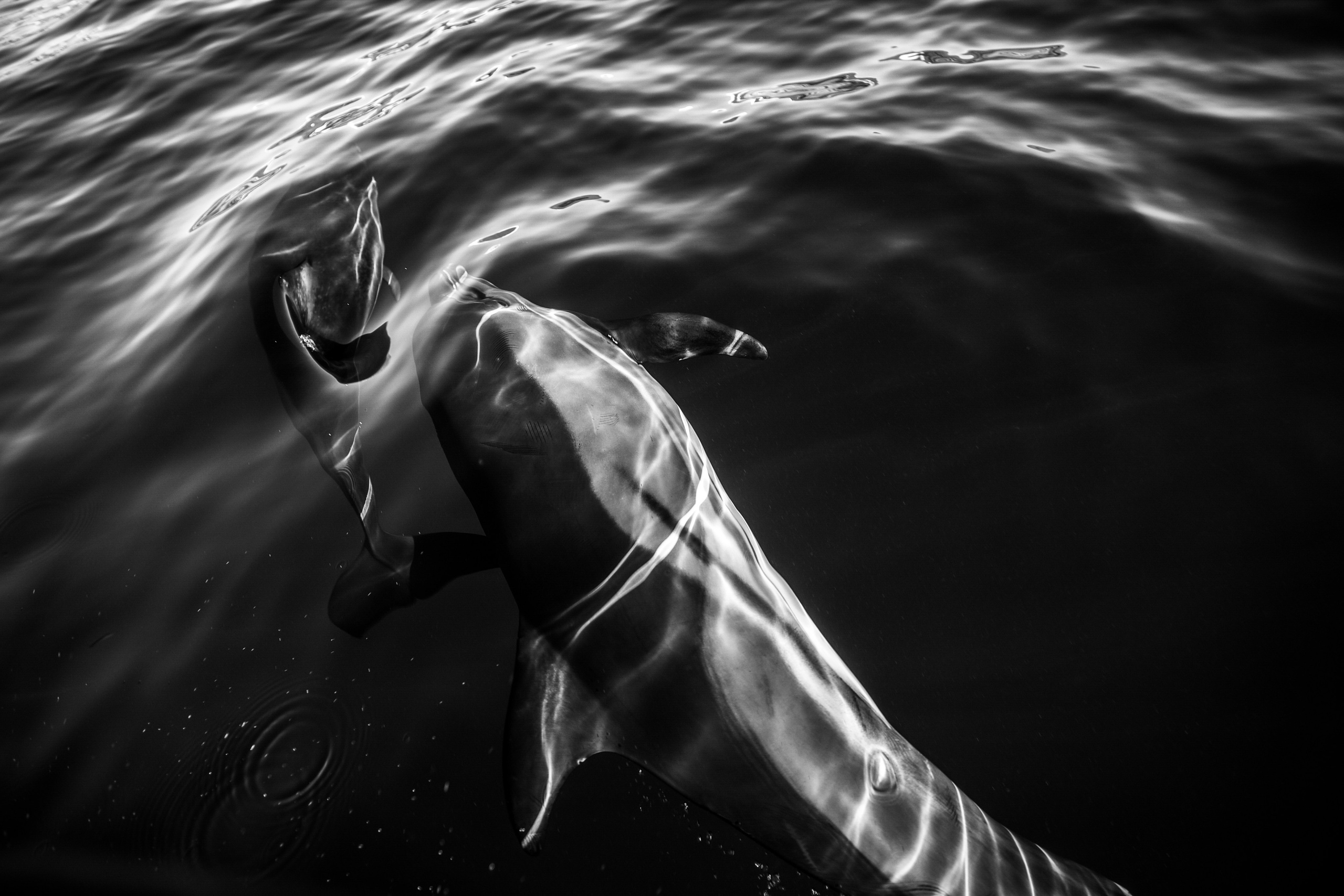 Wild and free. Anastasia Serdyuk, travel photographer, travel photo, portraits, stories, fineart prints