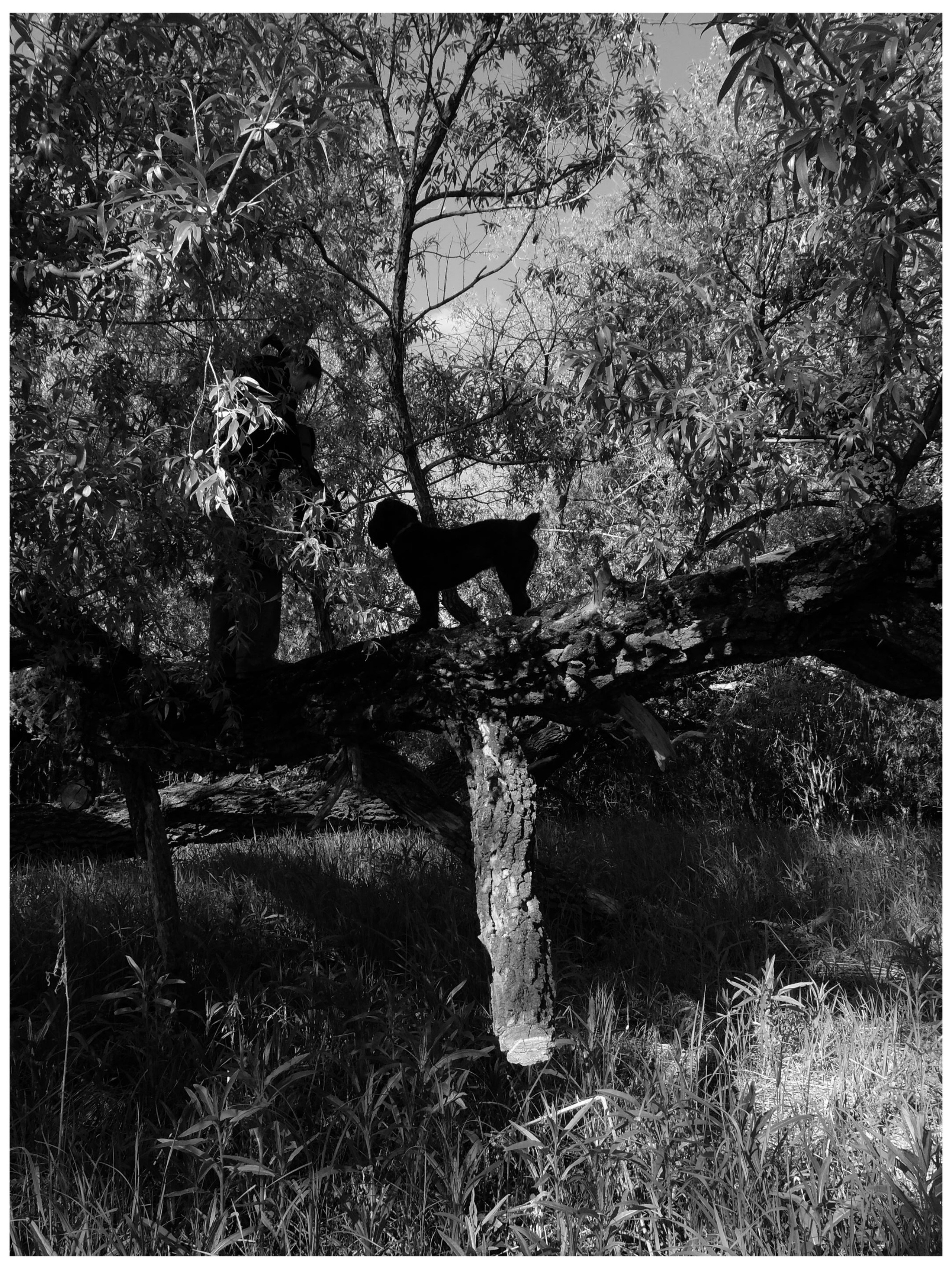 Промежуточные моменты (2022)