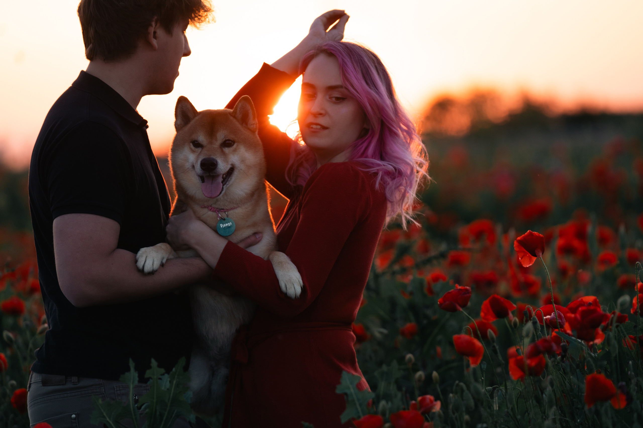 Маковое поле. Фотограф анималист