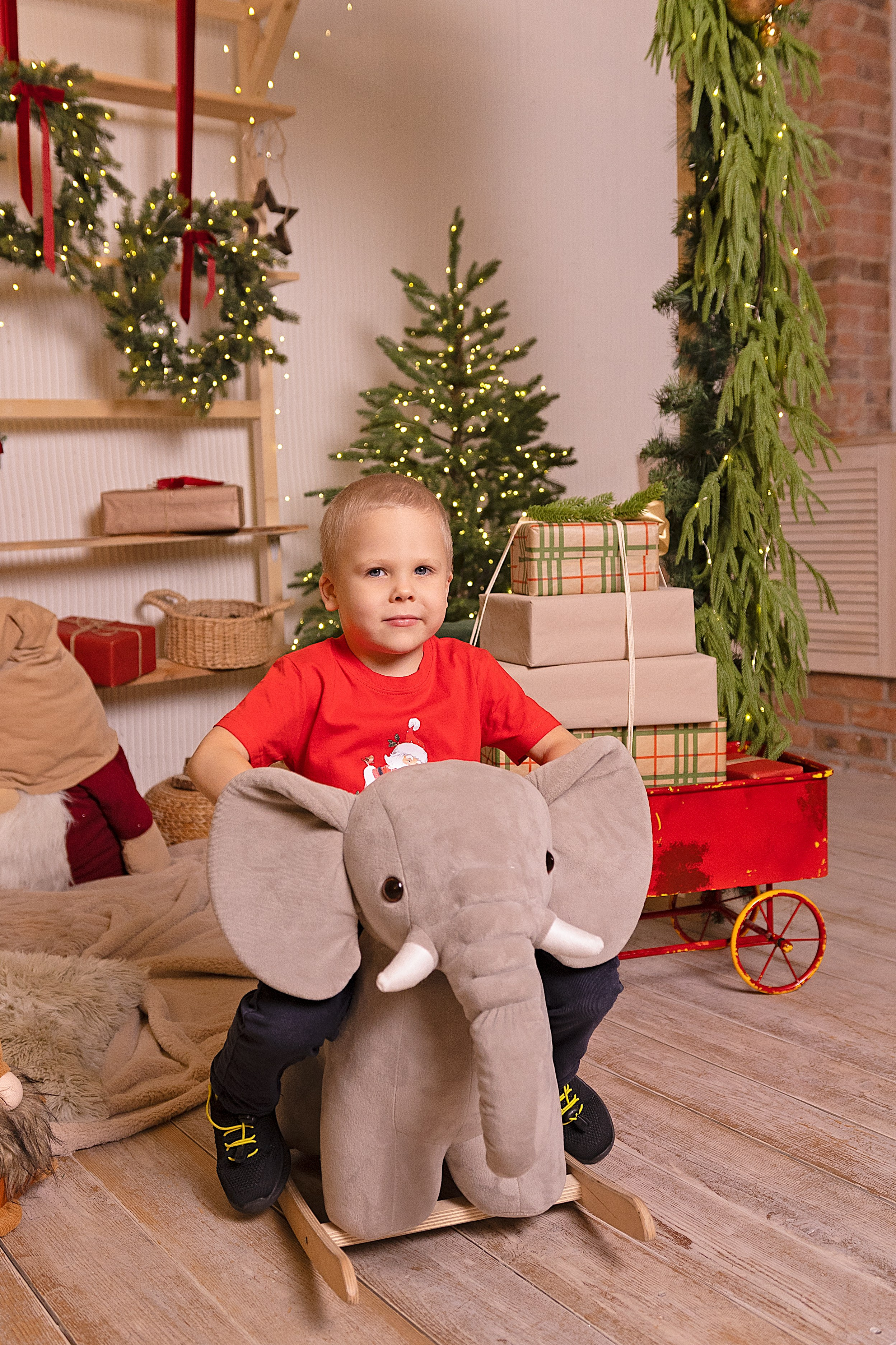 Новогодняя фотосессия. Семейный Фотограф в Красноярске Анастасия Попова