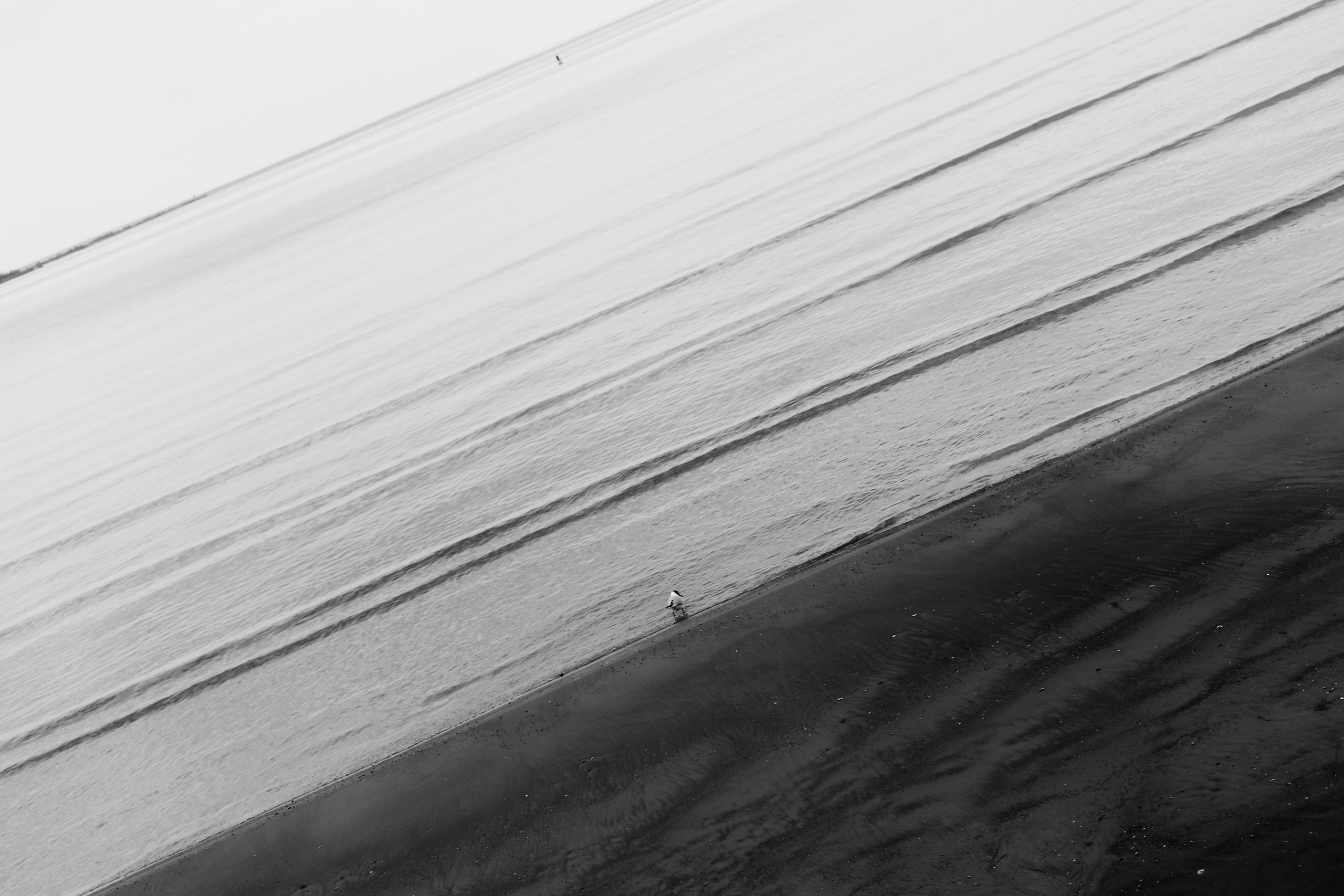 Tallinn. Juliarubis.com