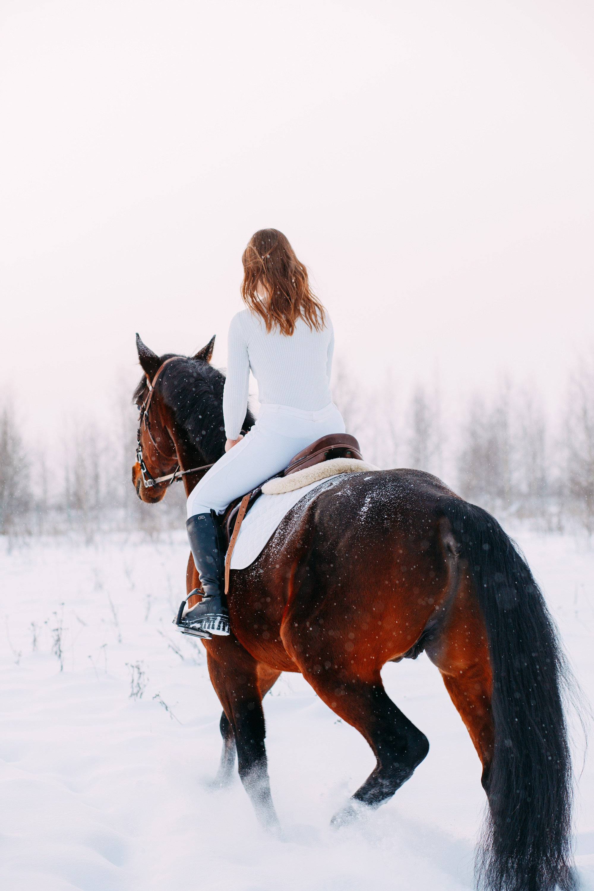 Зимняя фотосессия с лошадкой. Фотограф в Санкт-Петербурге Alina Film