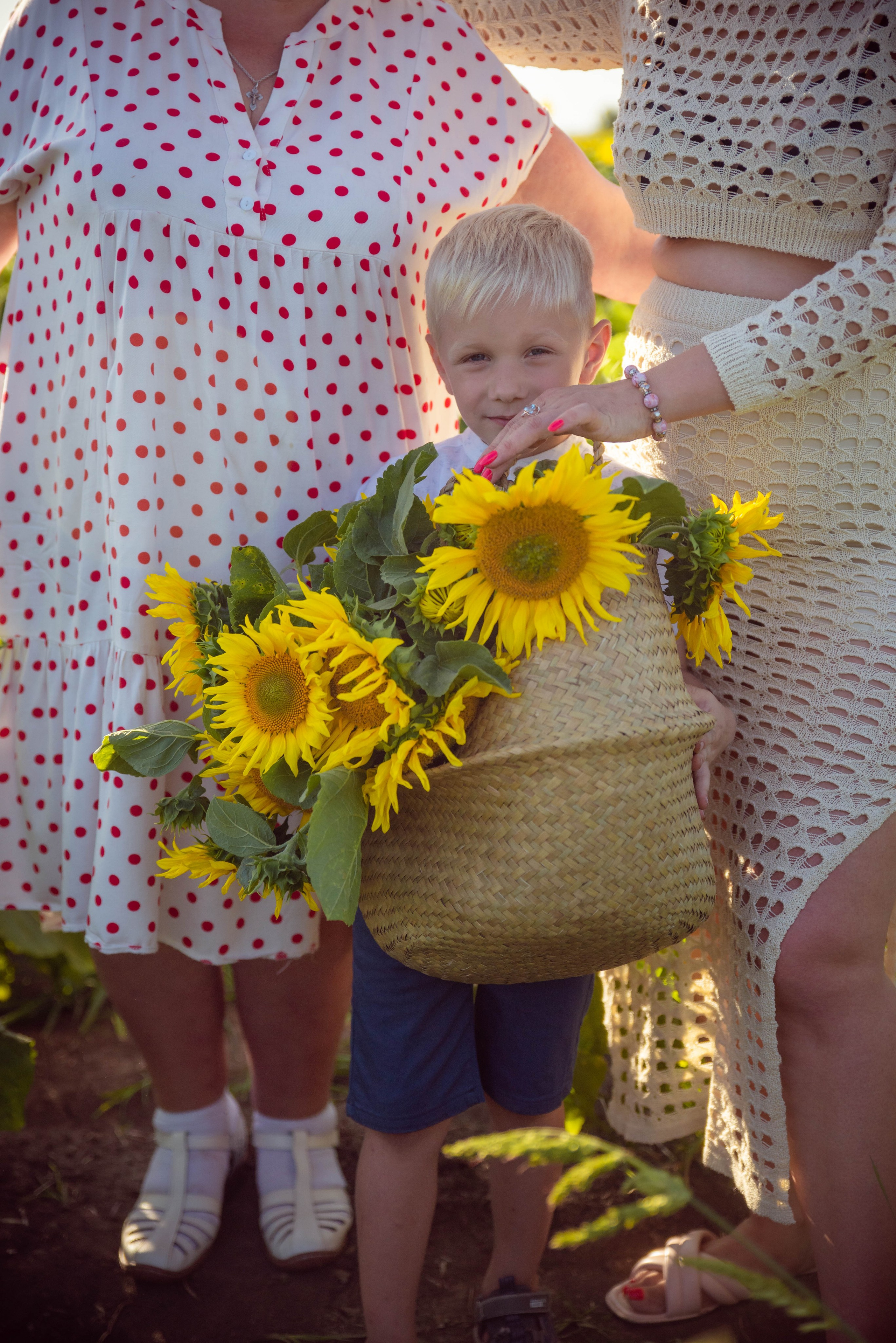 Подсолнухи. Семейный Фотограф в Краснодаре и крае