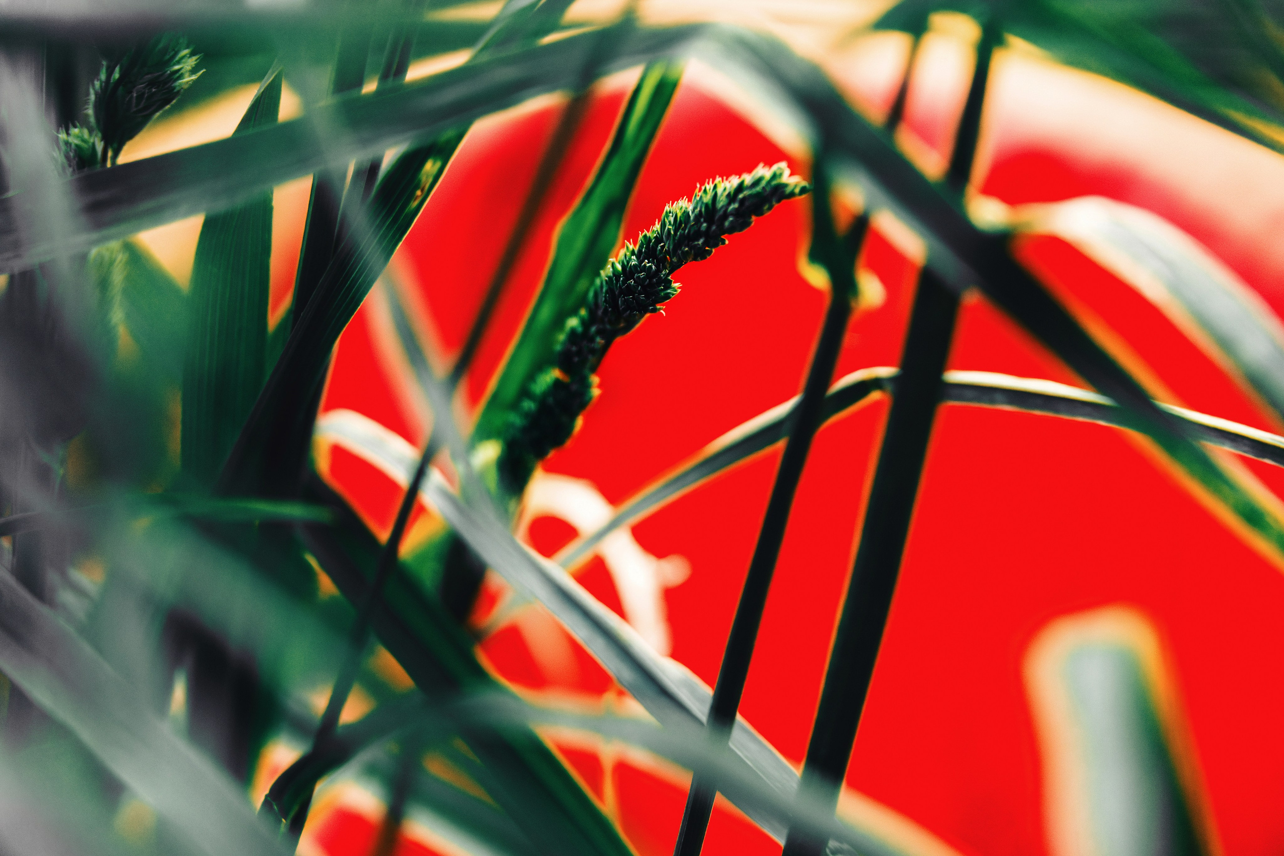 LET’S DRIFT 2025 — 3-й этап на автодроме Санкт-Петербург | Фоторепортаж от Churza