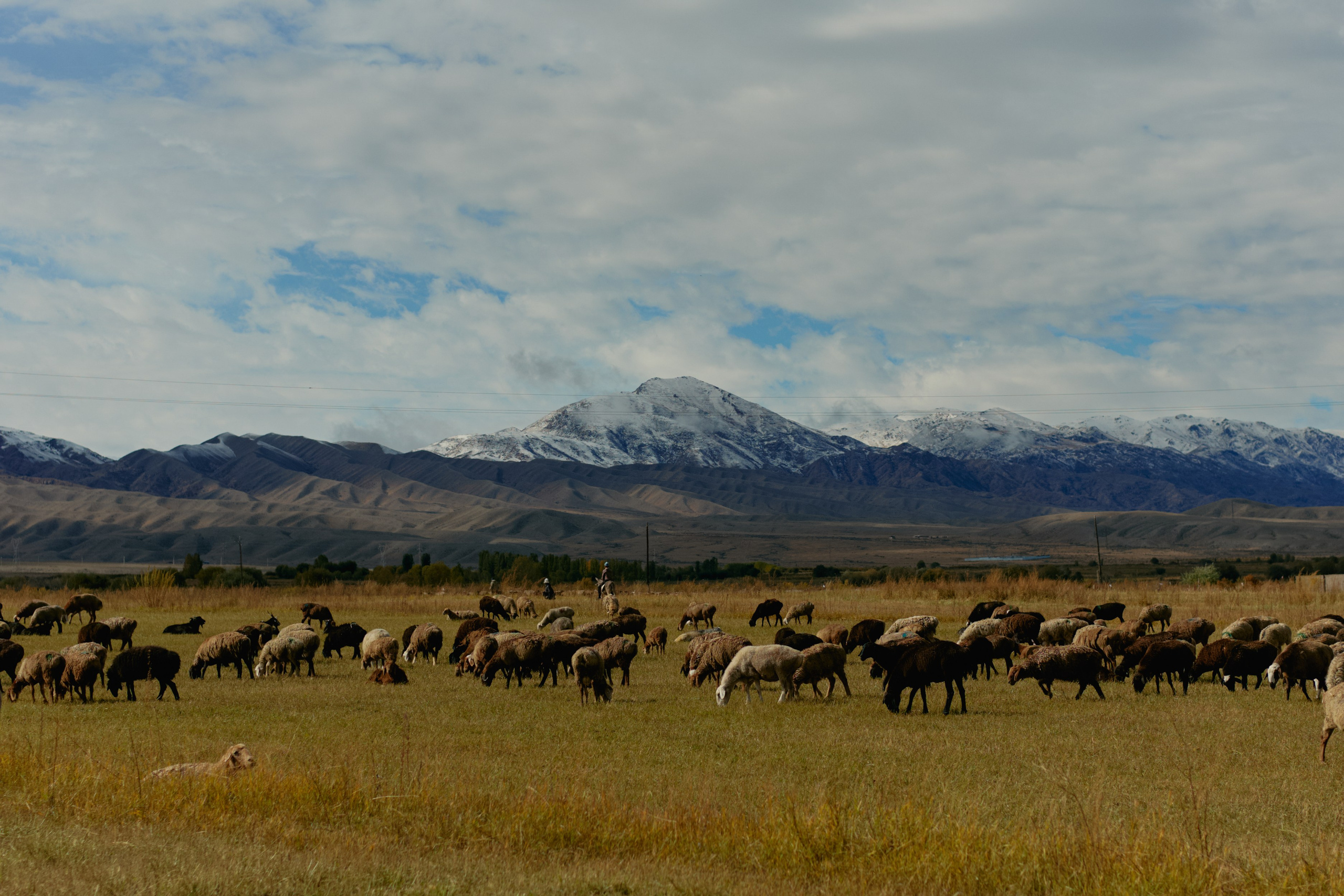Кыргызтан. Профессиональный Фотограф во Владимире, в Москве и в Суздале — Полина Романычева