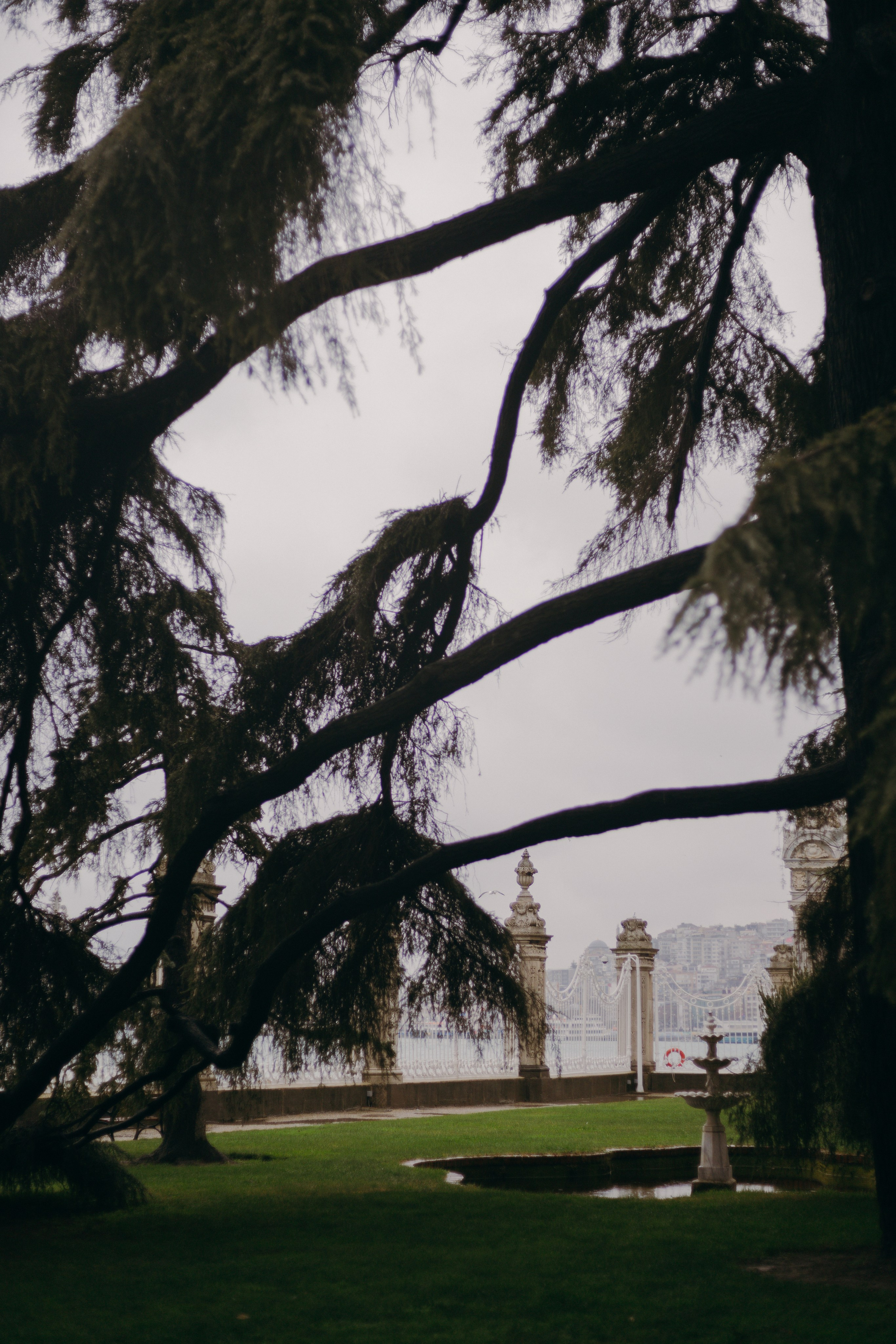 Стамбул. Профессиональный Фотограф во Владимире, в Москве и в Суздале — Полина Романычева