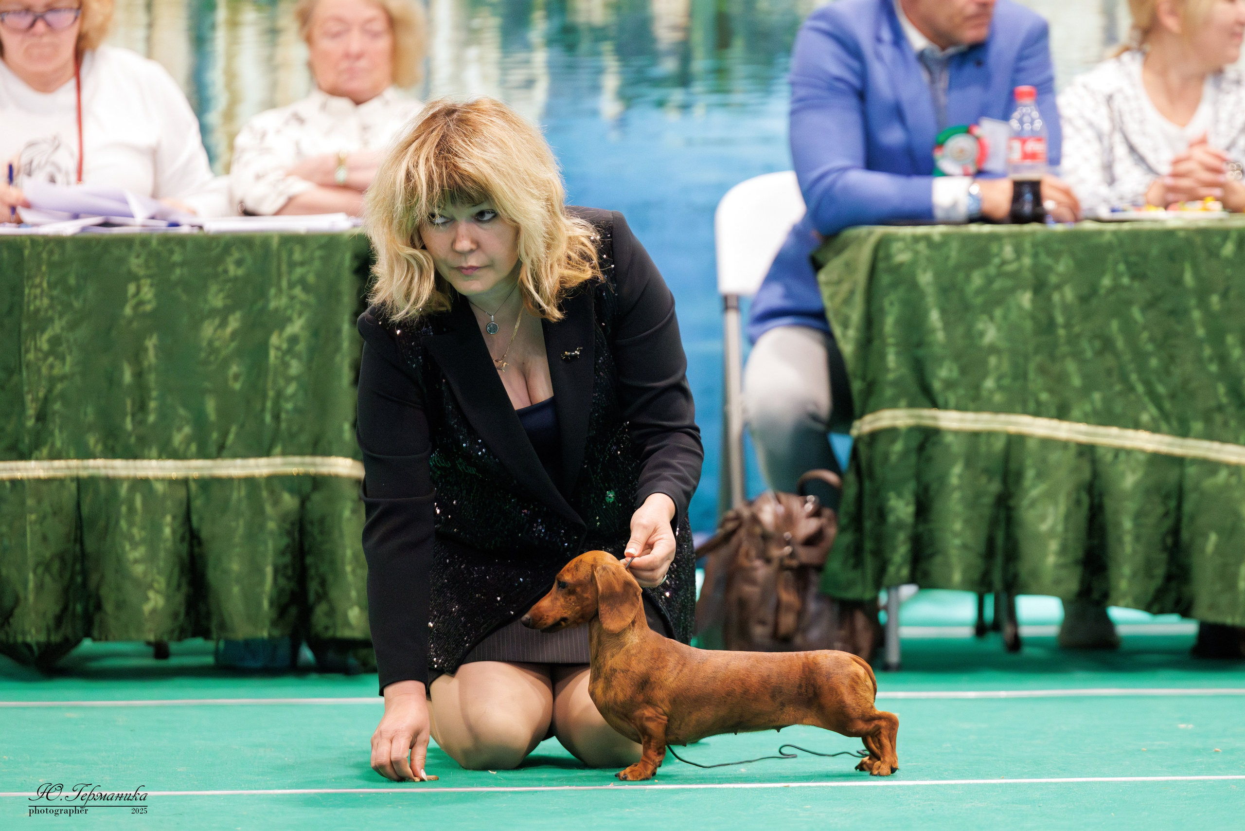 Минск 31.05-1.06.2025. Фотограф-анималист Юлия Германика