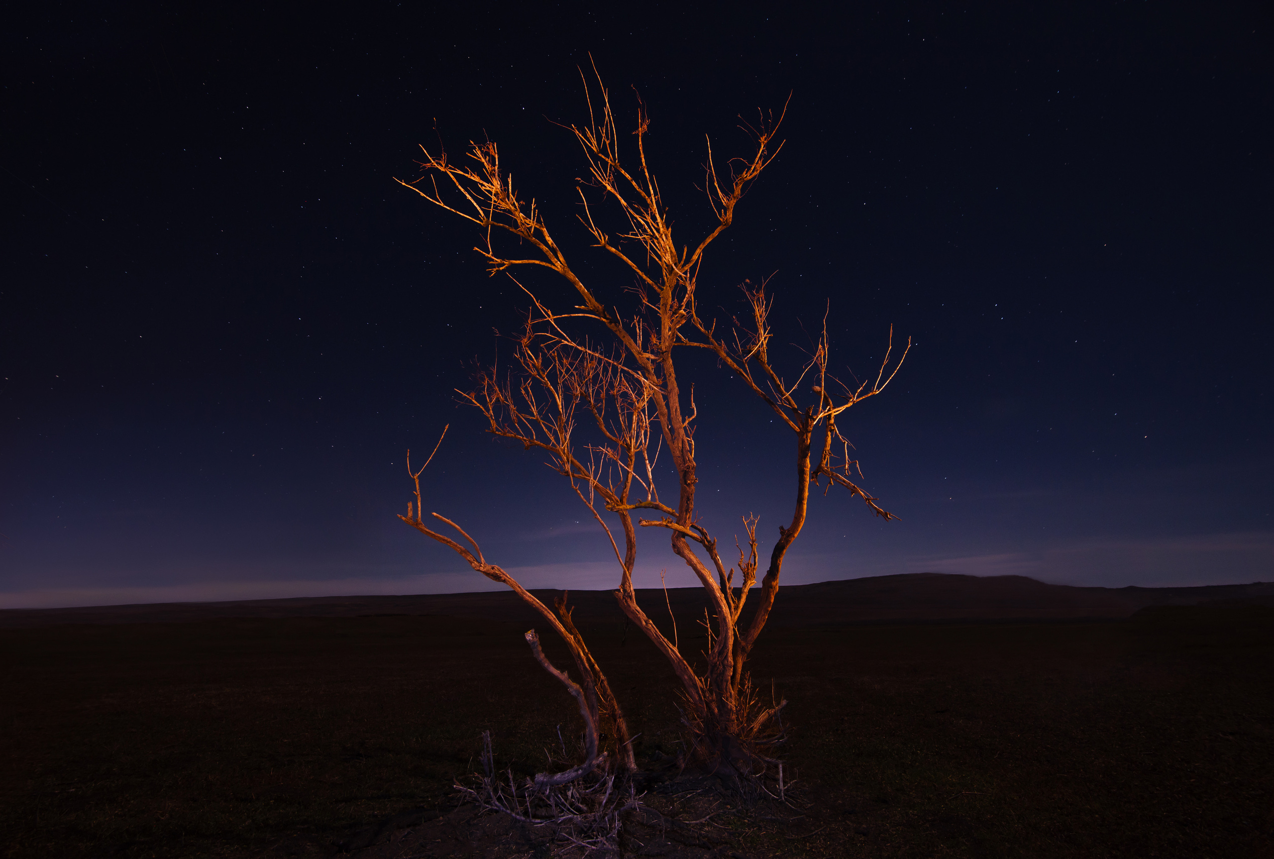 — посозерцать. Фотограф Кочкаев Роман
