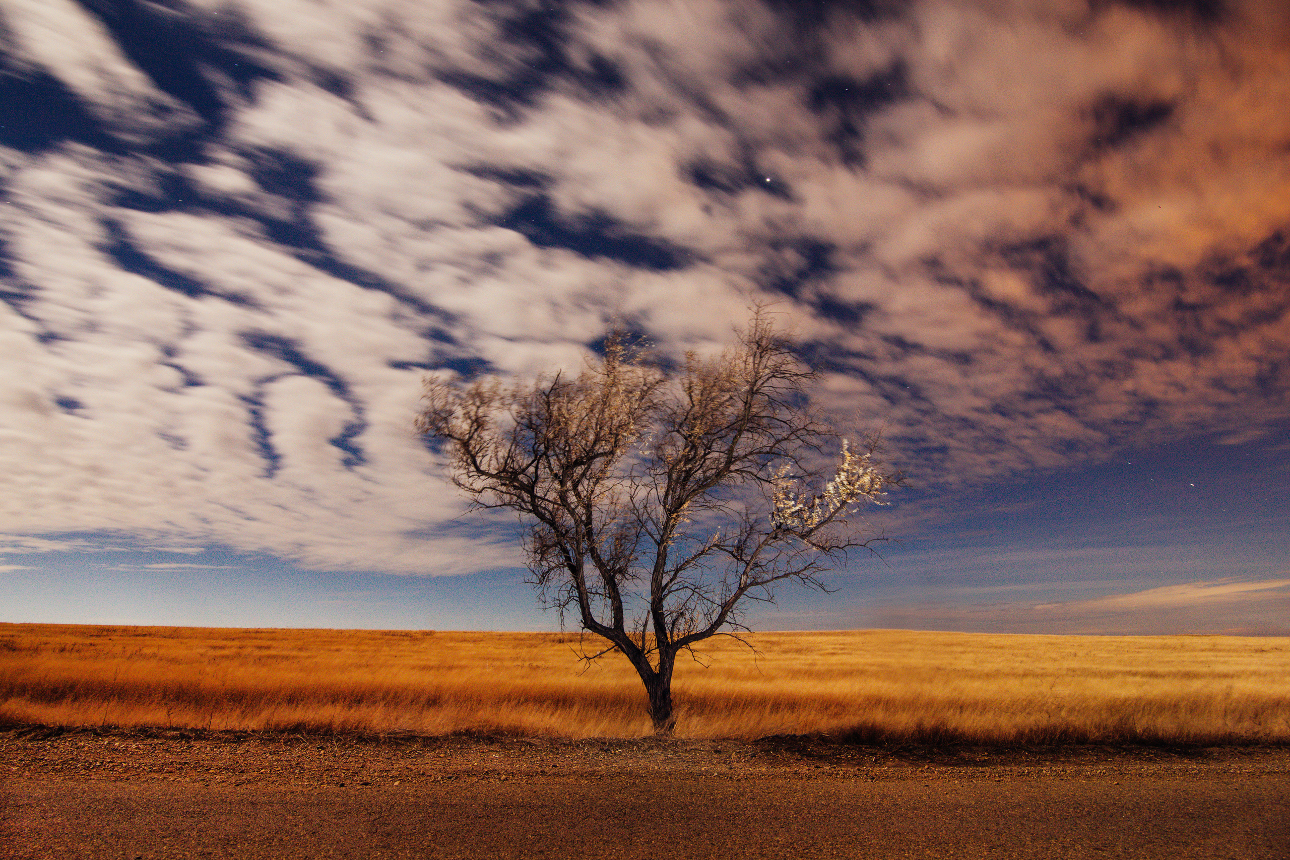 — посозерцать. Фотограф Кочкаев Роман