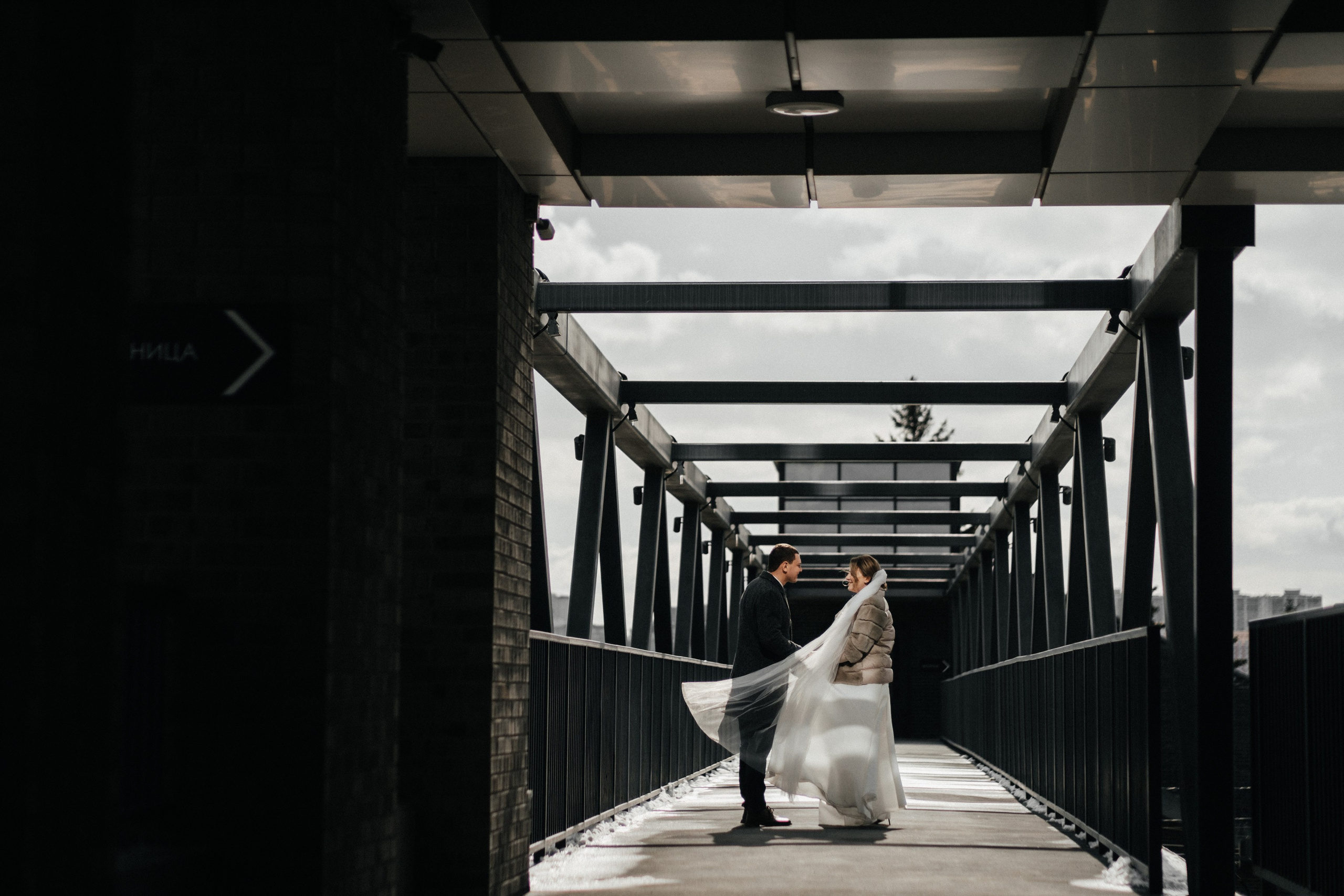 Нск_осень. Свадебный и семейный фотограф Барнаул Рубцовск Бийск Алтайский край