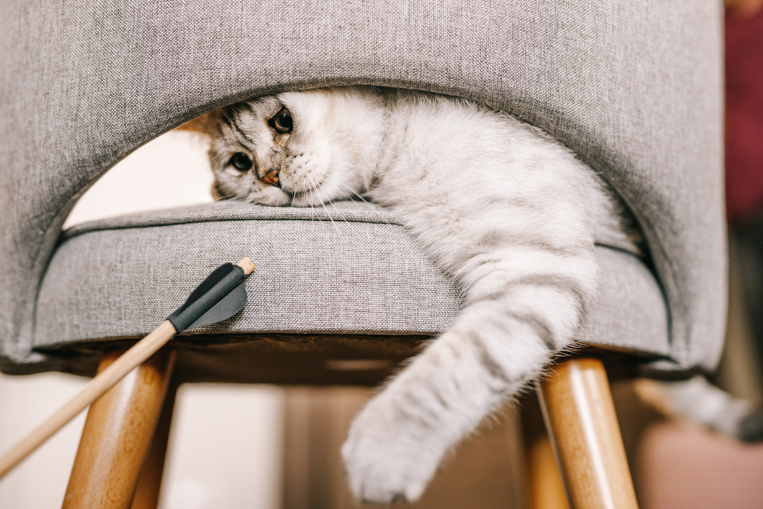 Съёмка дома. Дмитрий Мартьянов семейный фотограф в Санкт-Петербурге