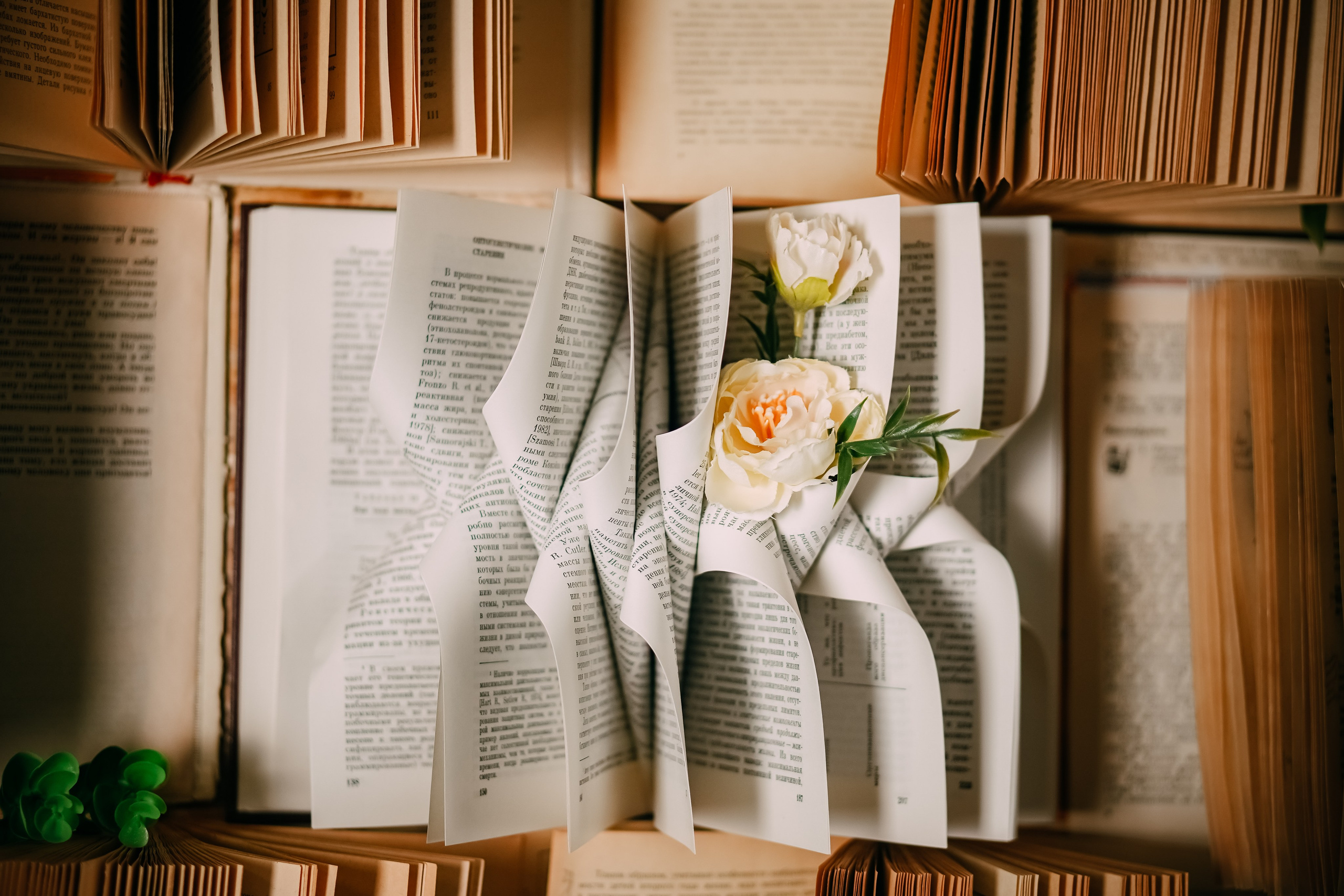 Зал DZEN фотостудия Побелка. Фотостудия в Саратове. Фотограф в Саратове