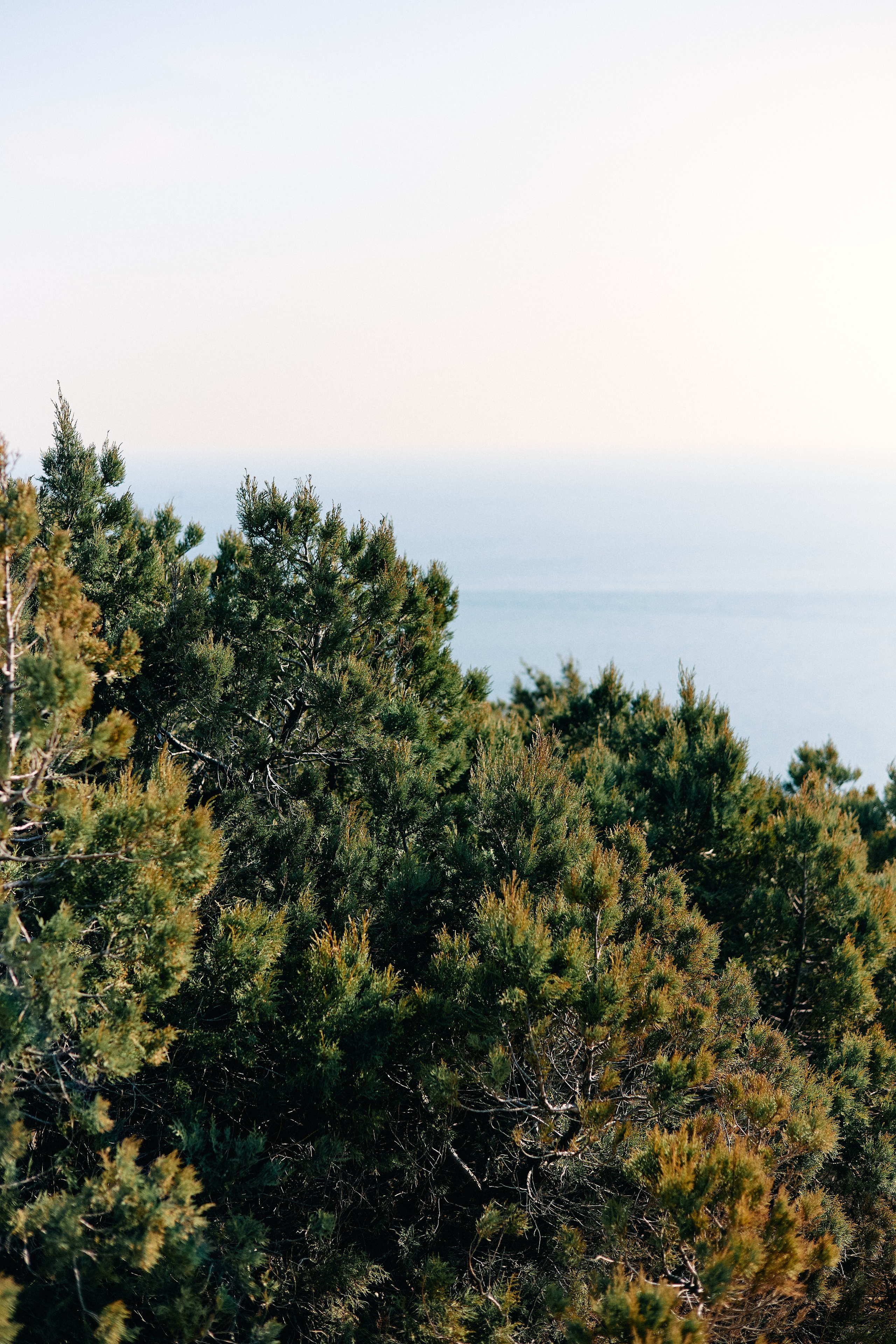 Юг России. Профессиональный Фотограф во Владимире, в Москве и в Суздале — Полина Романычева