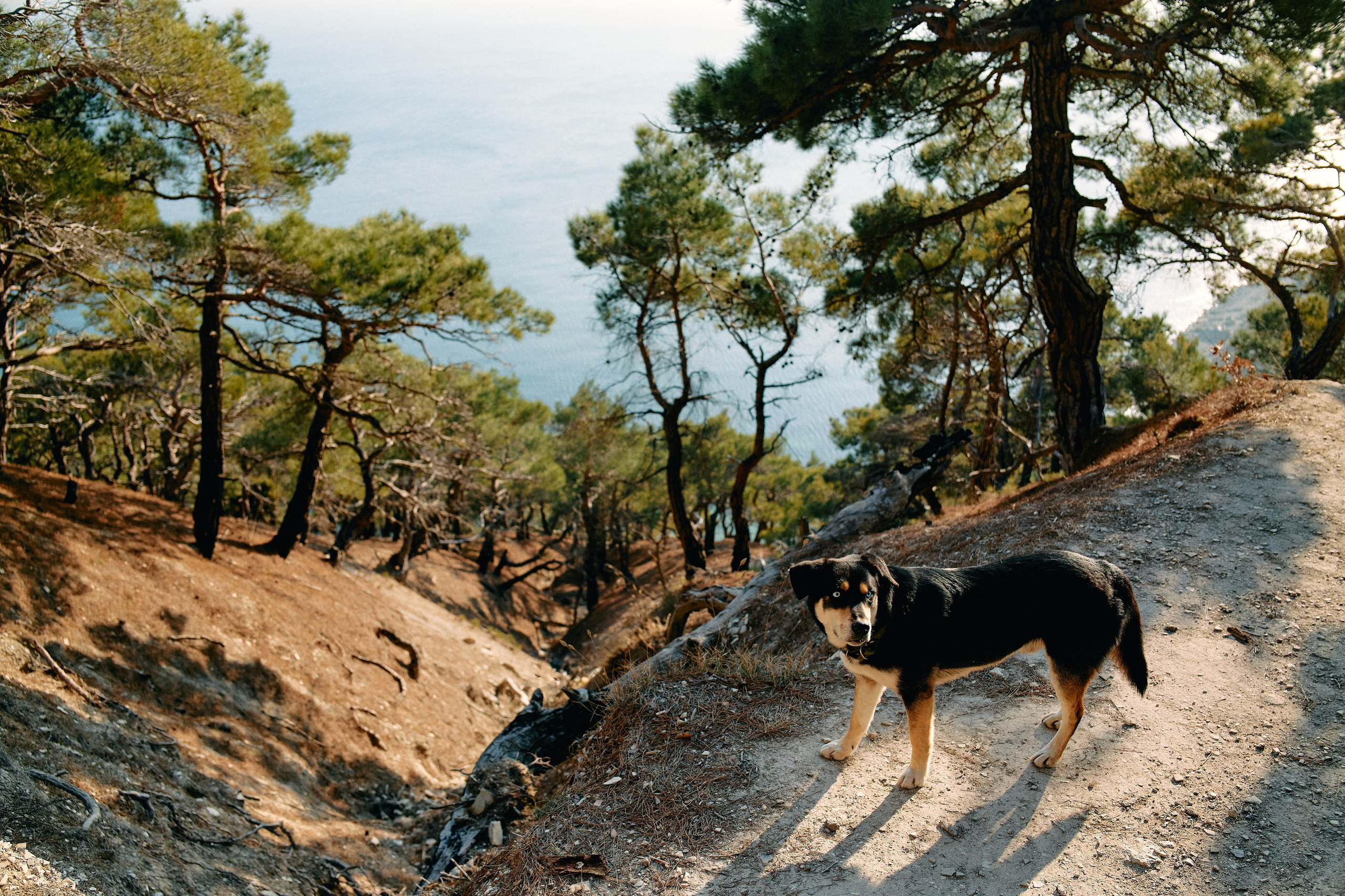 Юг России. Профессиональный Фотограф во Владимире, в Москве и в Суздале — Полина Романычева