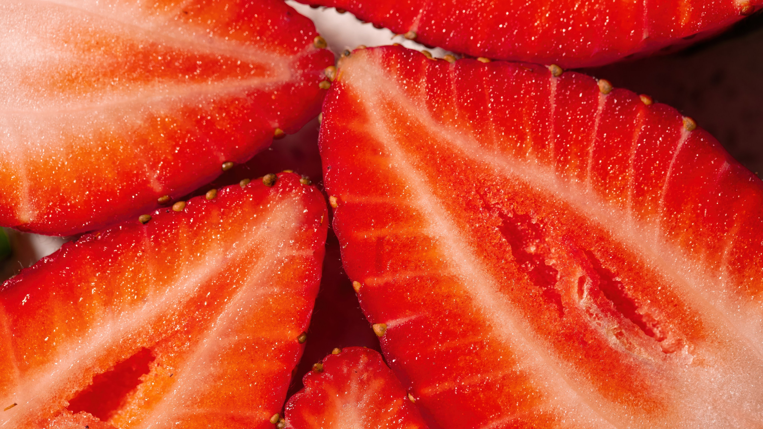 БИОЭНЕРГИЯ — Производство субстрата для теплиц, маты для выращивания