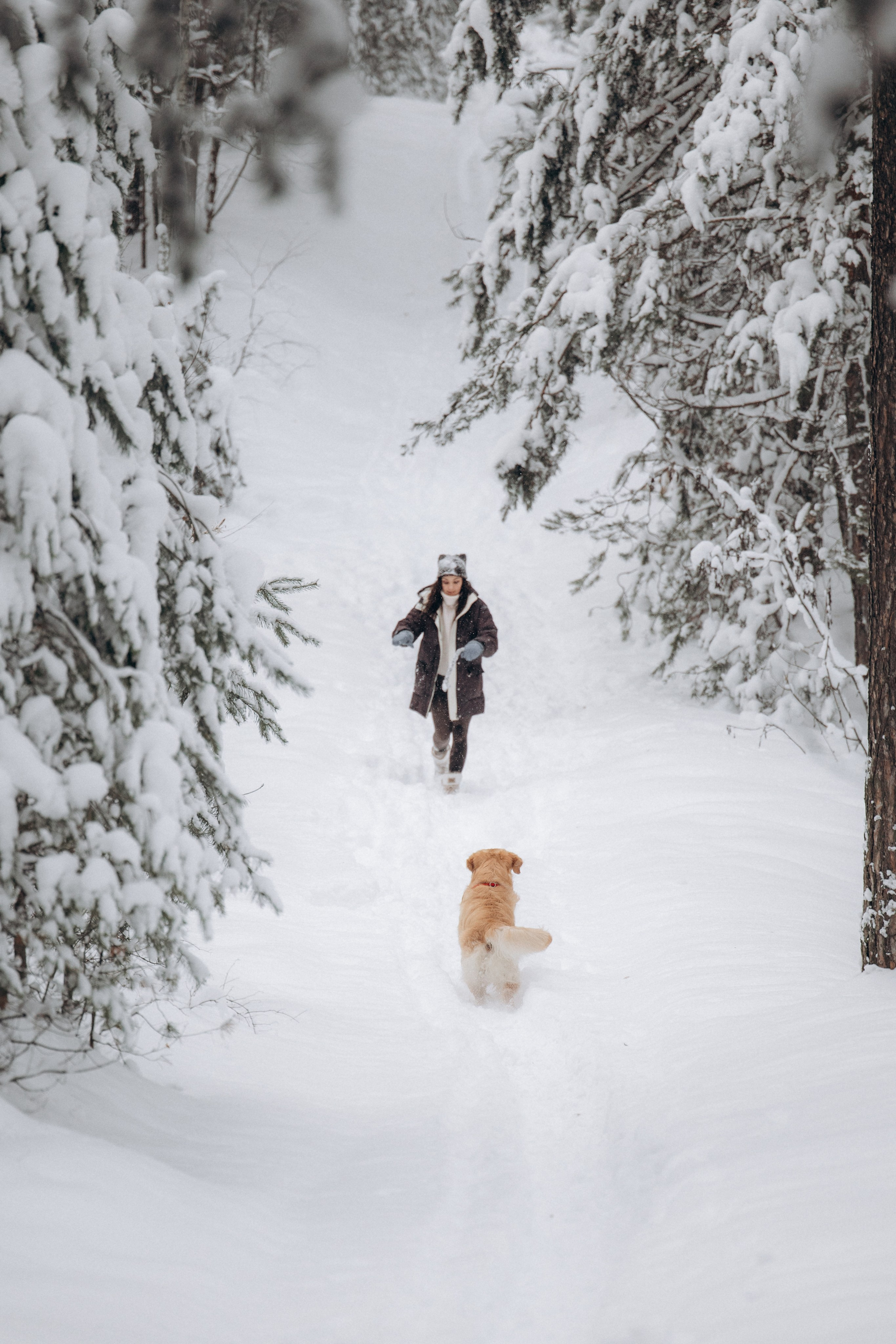 Зимняя история, Света и Чарли. Фотограф анималист в Казани Алина Сулейманова. Фотограф животных