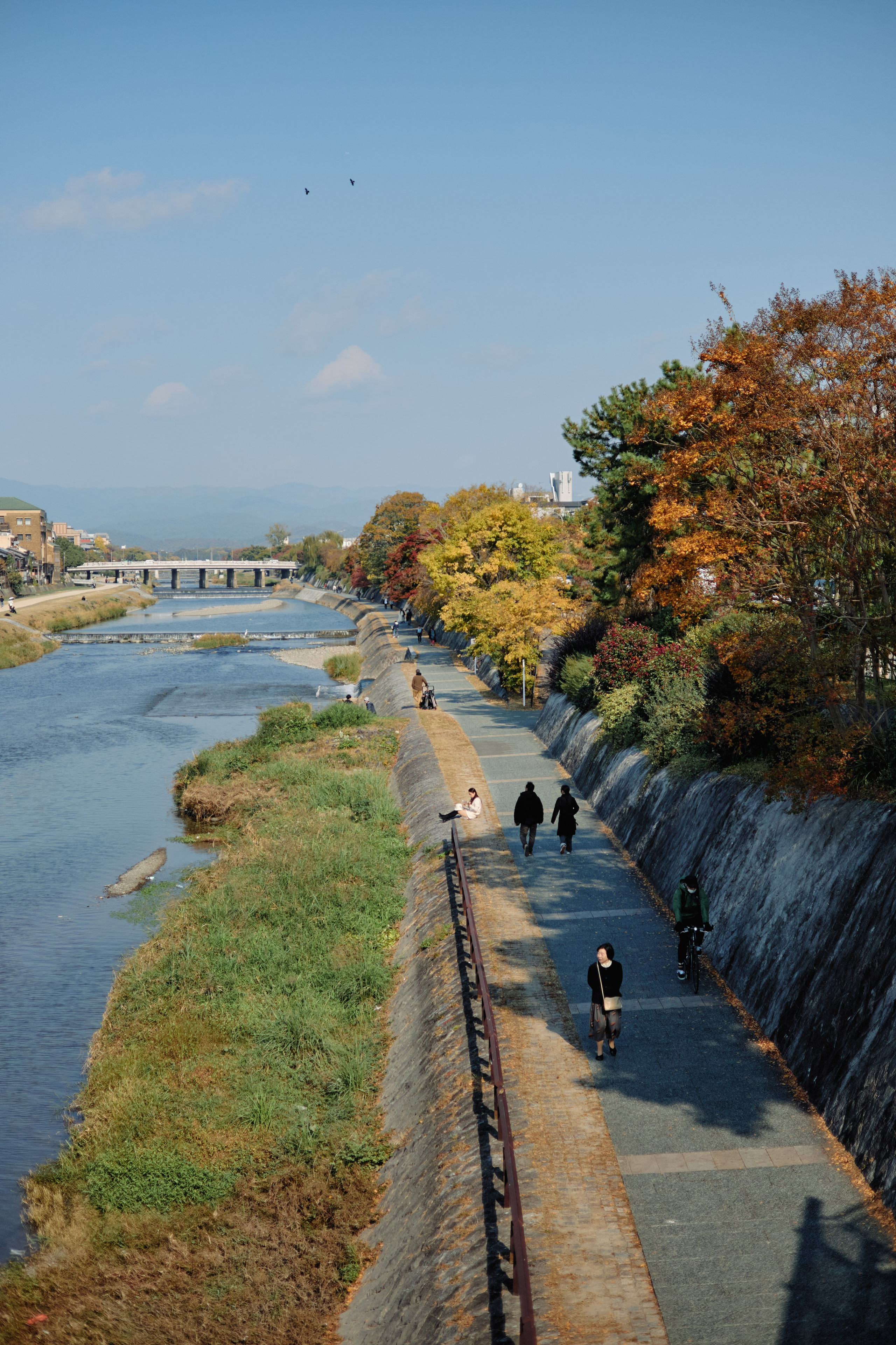 Япония. Профессиональный Фотограф во Владимире, в Москве и в Суздале — Полина Романычева