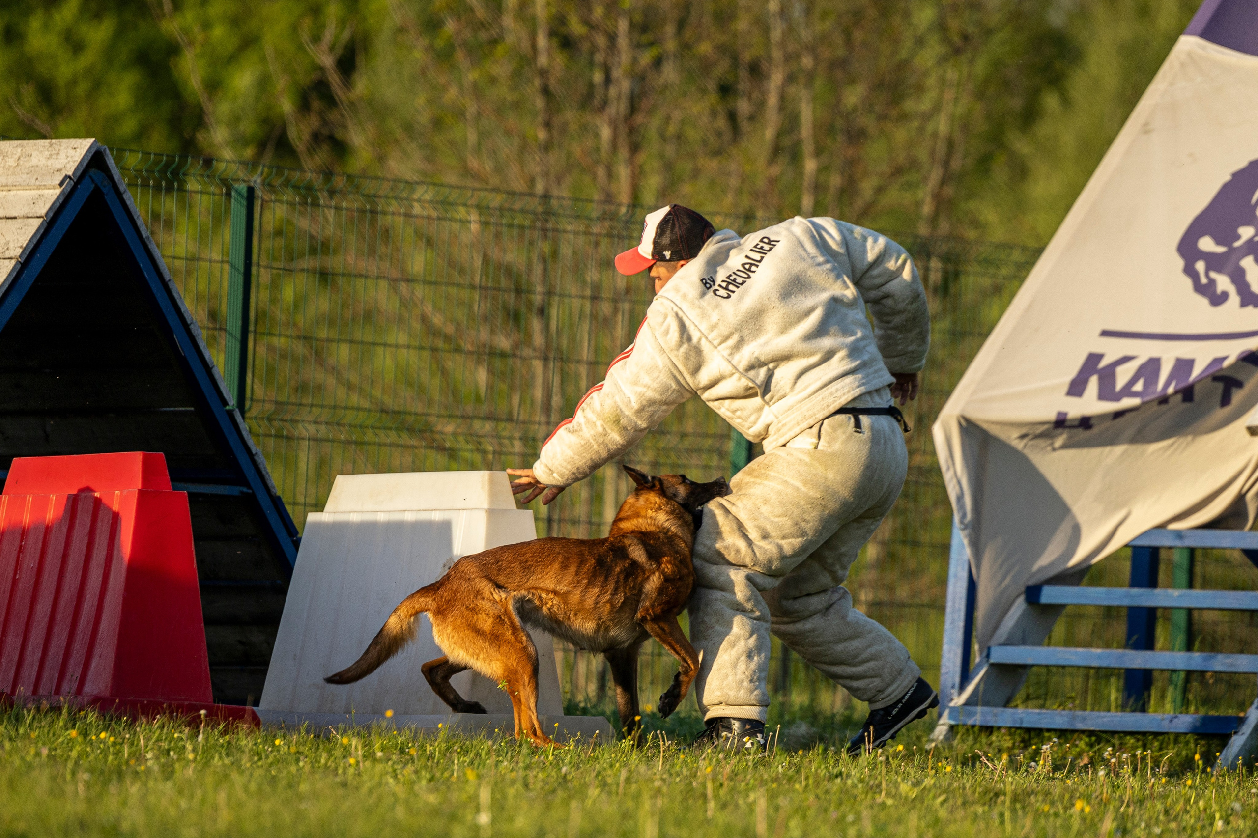 Испытания по мондьорингу в Нижнем Новгороде. Фотограф-анималист Анна Маринич