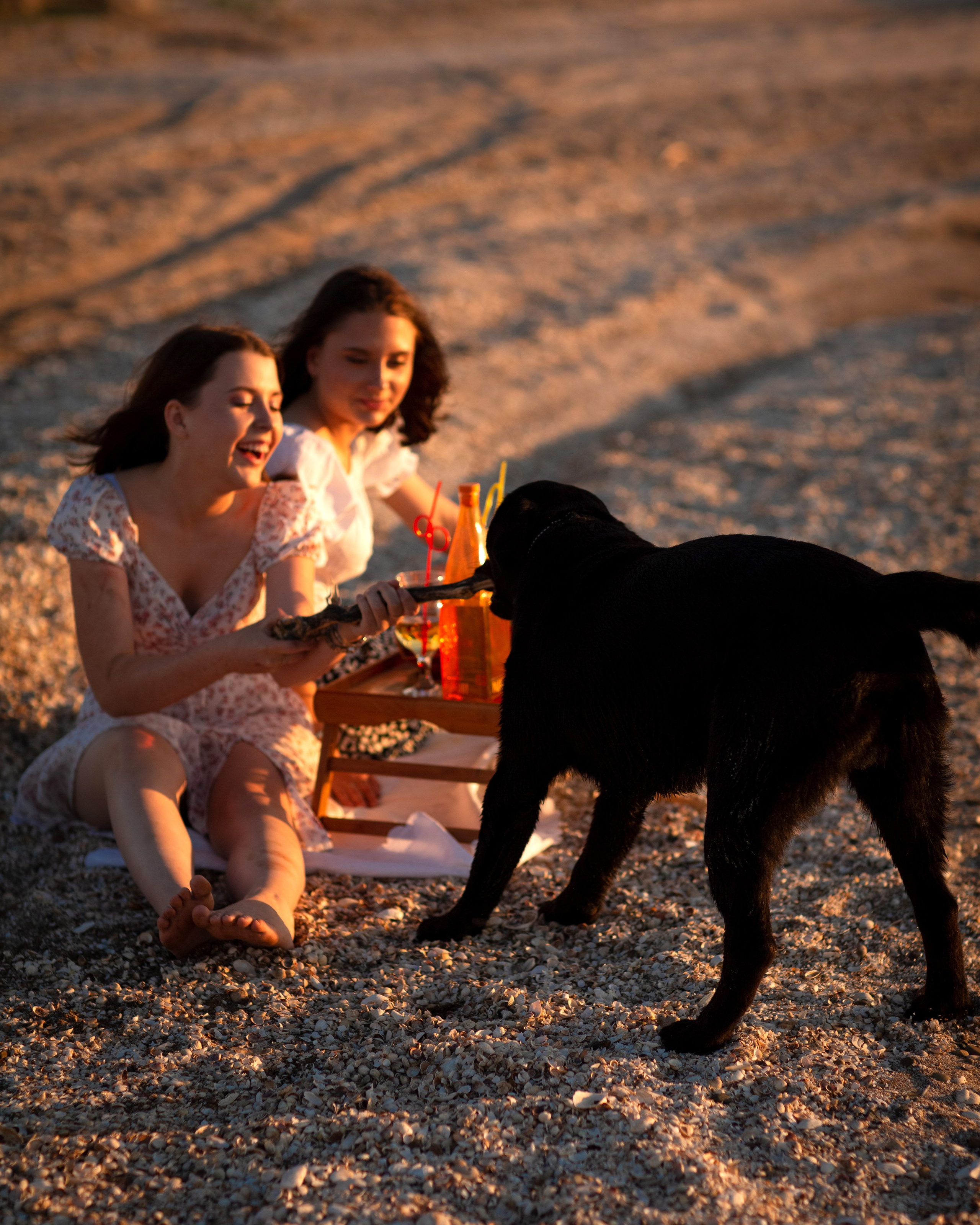 Пикник на закате. Фотограф в Приморско-Ахтарске Марьяна Чопко