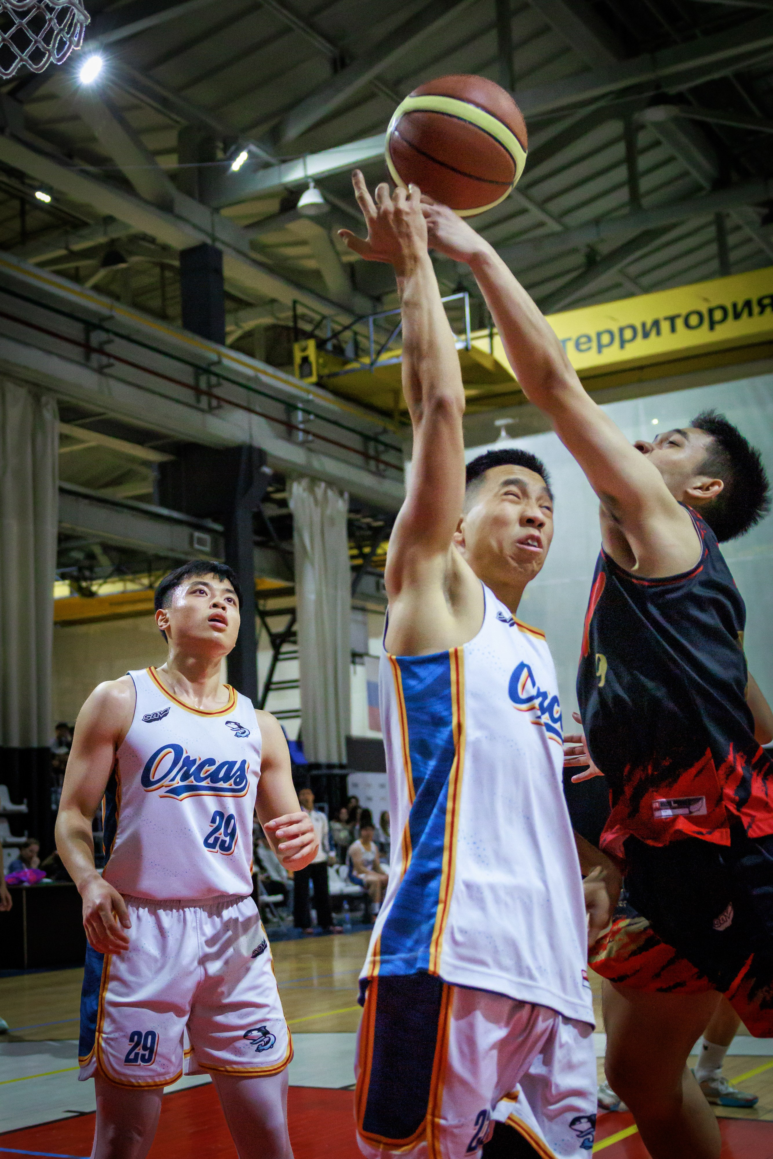 Спорт. Фотограф в Москве Андрей Макаренко