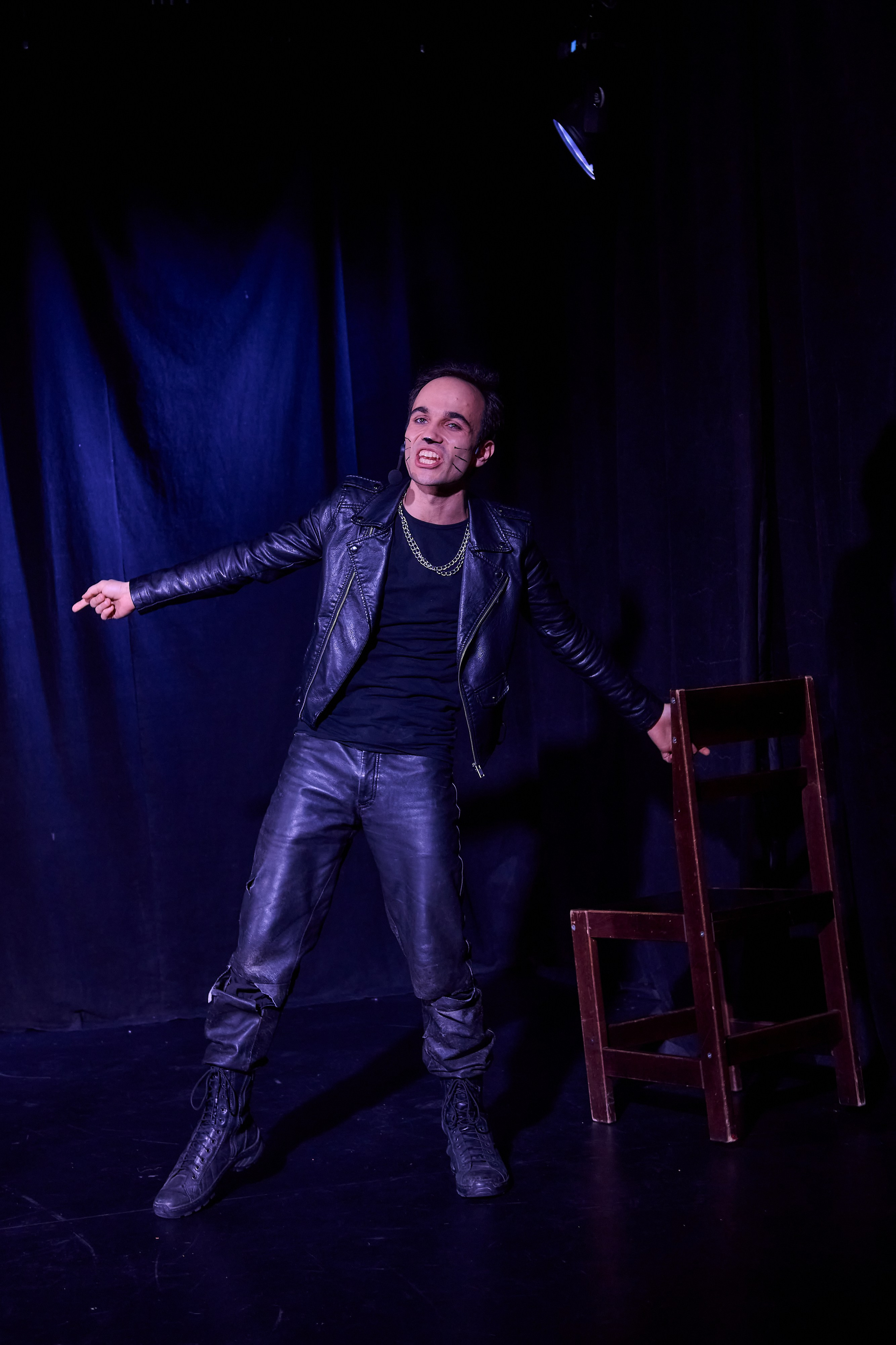 Мюзикл Перромания