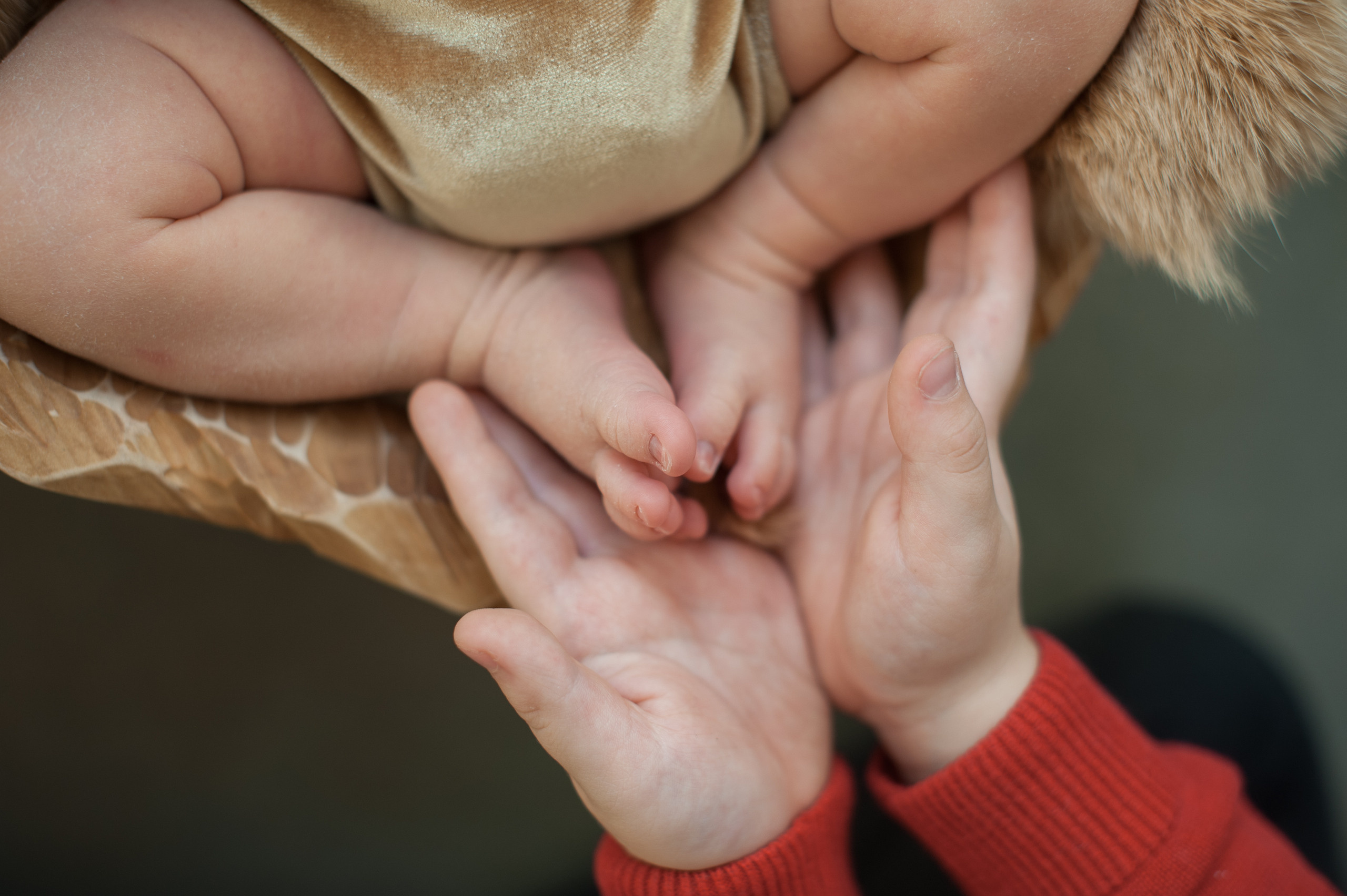 26-11-20 Newborn. Фотограф беременности и детей  Воронеж/Бутурлиновка Ткачева Аня