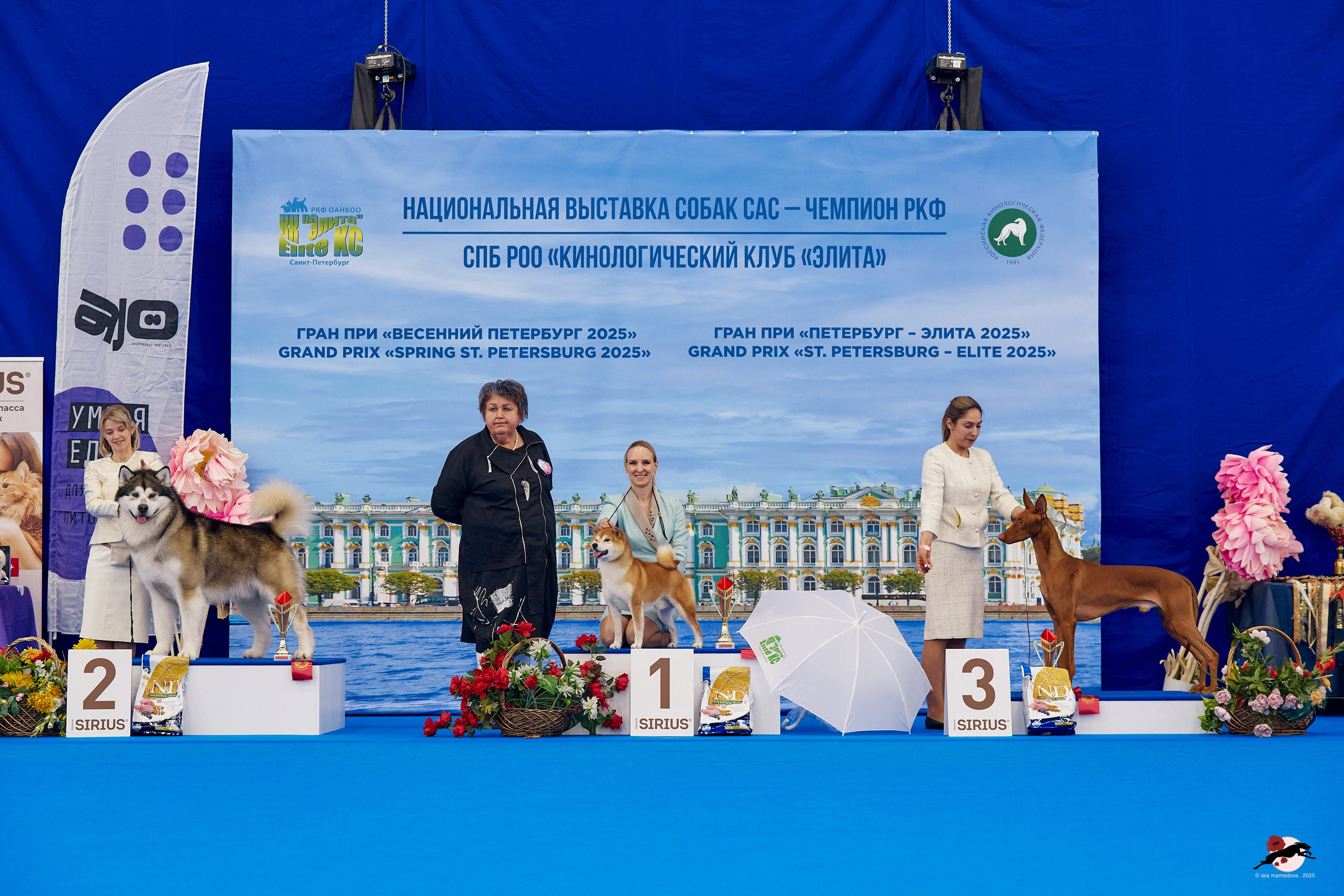 27.04.2025 | "Петербург-Элита 2025" & «КУБОК «ЭЛИТЫ»-2025»