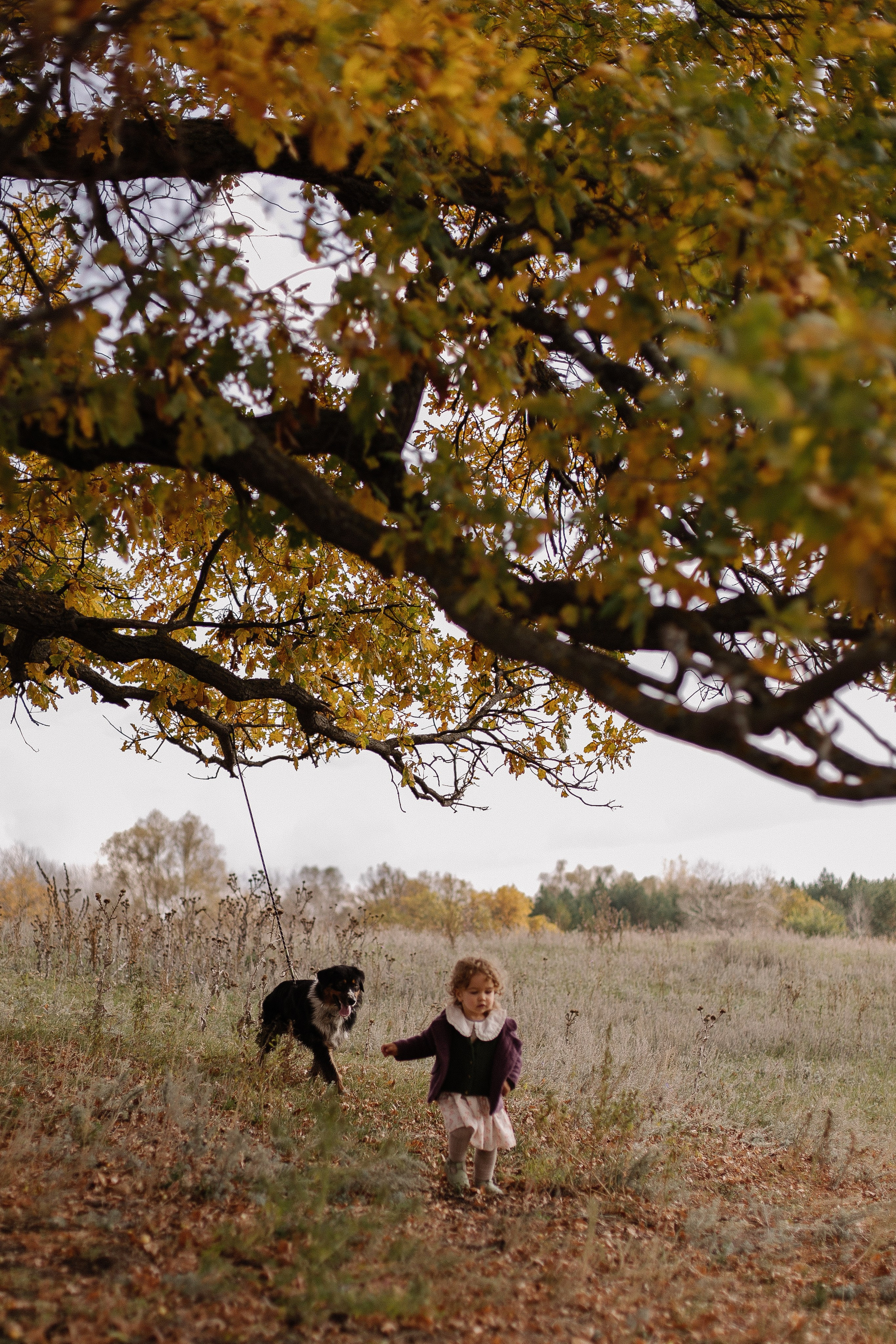 А давай запустим воздушного змея?. Семейный фотограф в Самаре