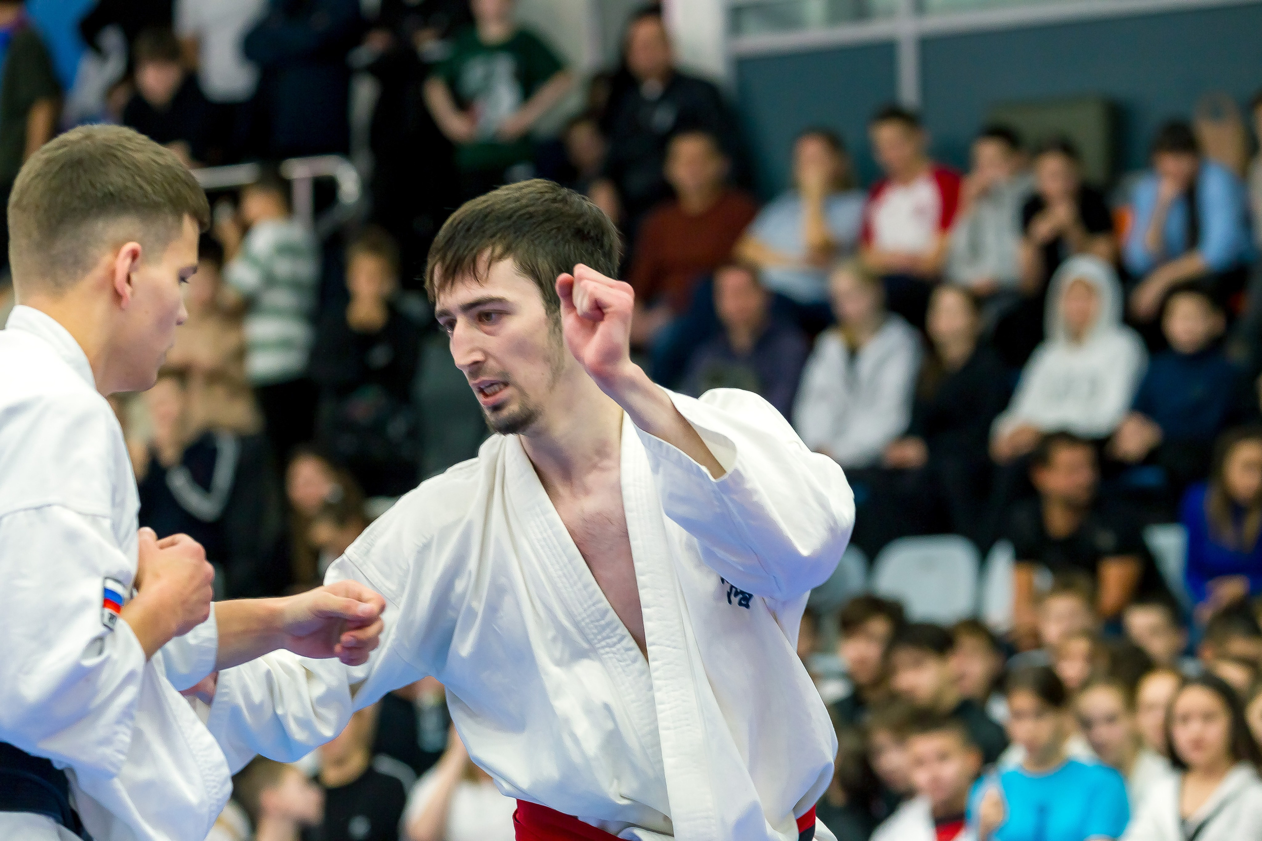 Соревнования по Киокушин памяти С. Увицкого. Репортажная съемка в Москве и области. Анималистика