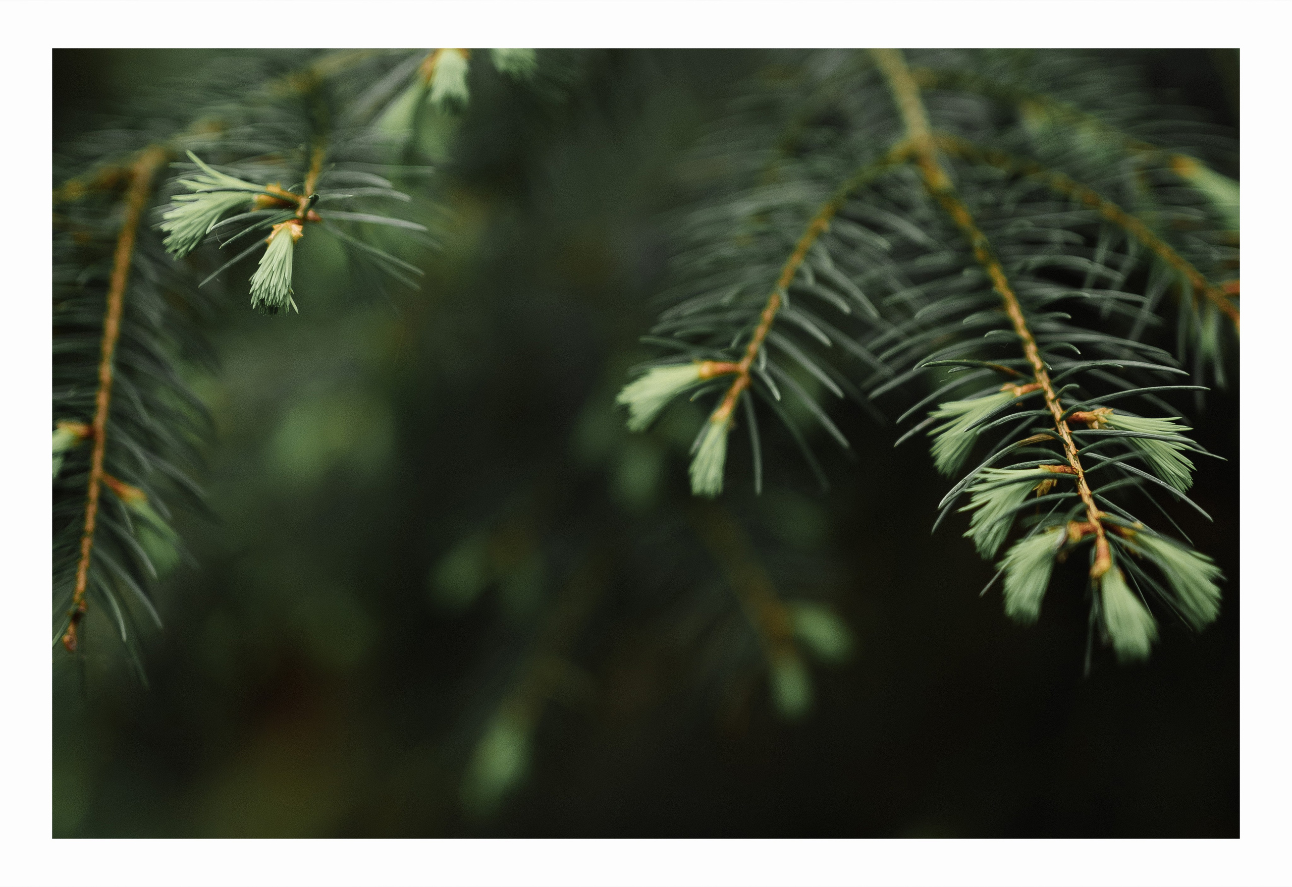 Е & E`23. Фотограф Кольчугино/Владимир/Москва Елизавета Иода